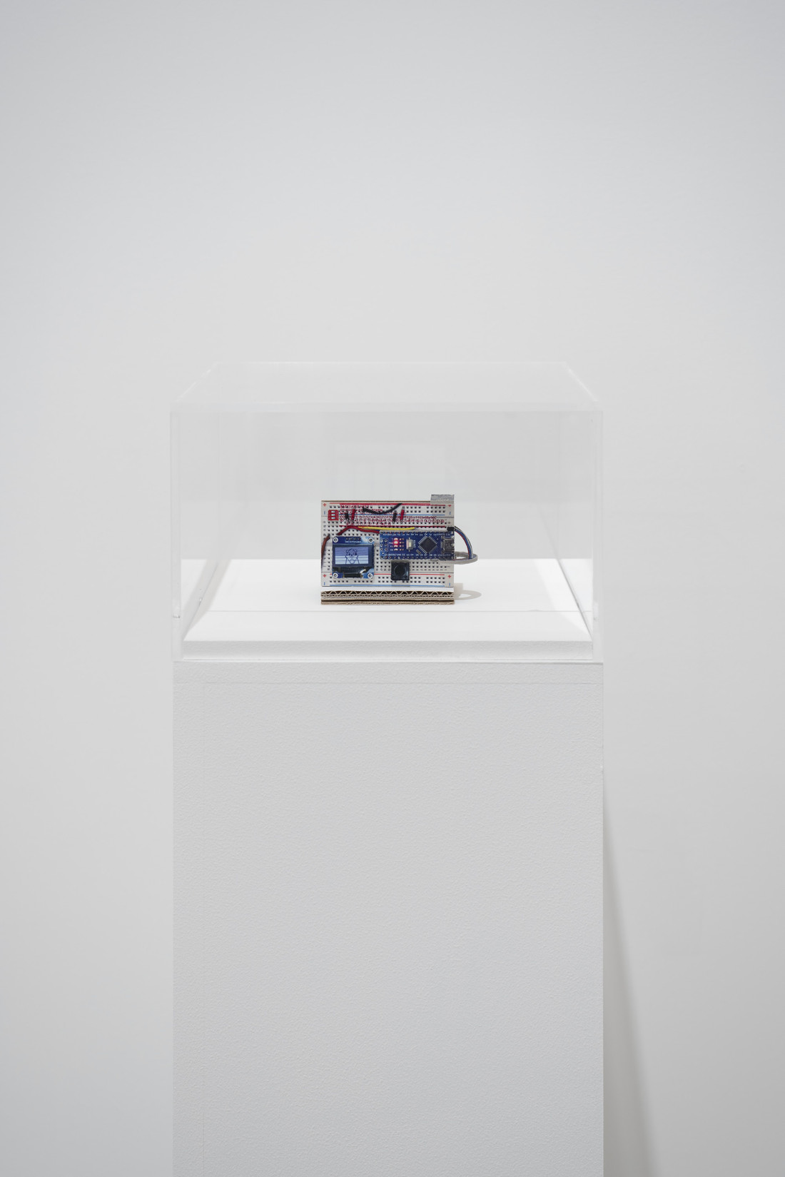 Hiding in Plain Sight Pace Gallery