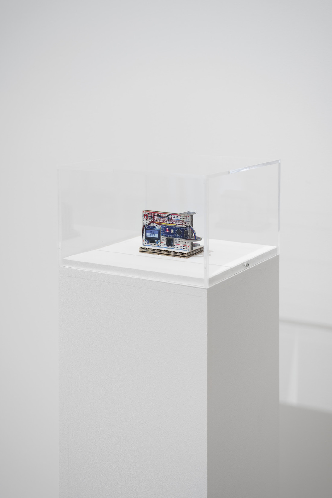 Hiding in Plain Sight Pace Gallery