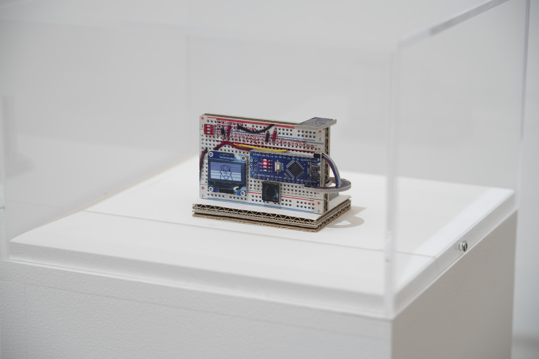 Hiding in Plain Sight Pace Gallery