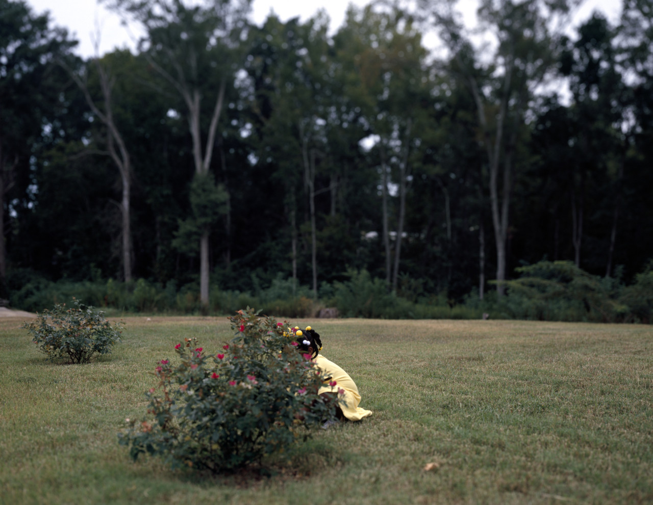 Yellow by RaMell Ross