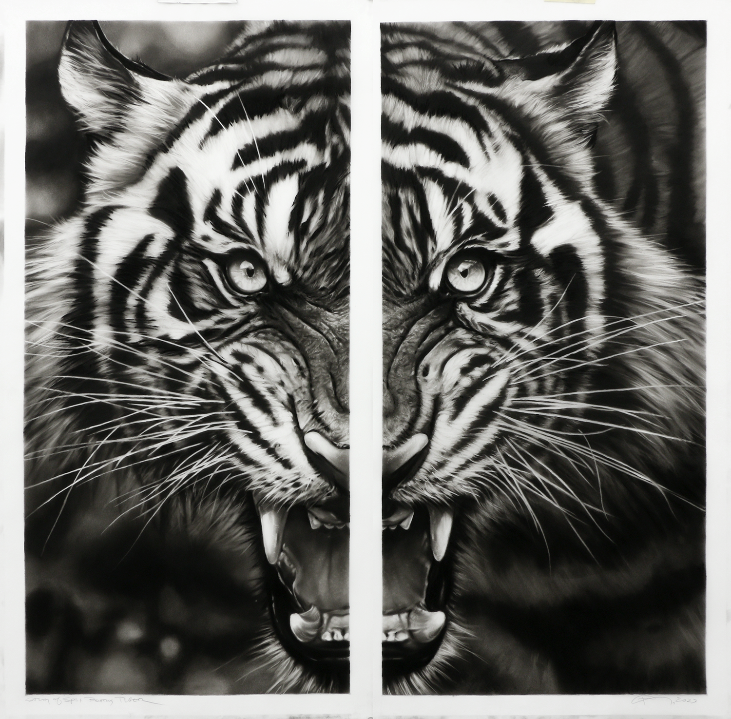 Study of Split Roaring Tiger by Robert Longo