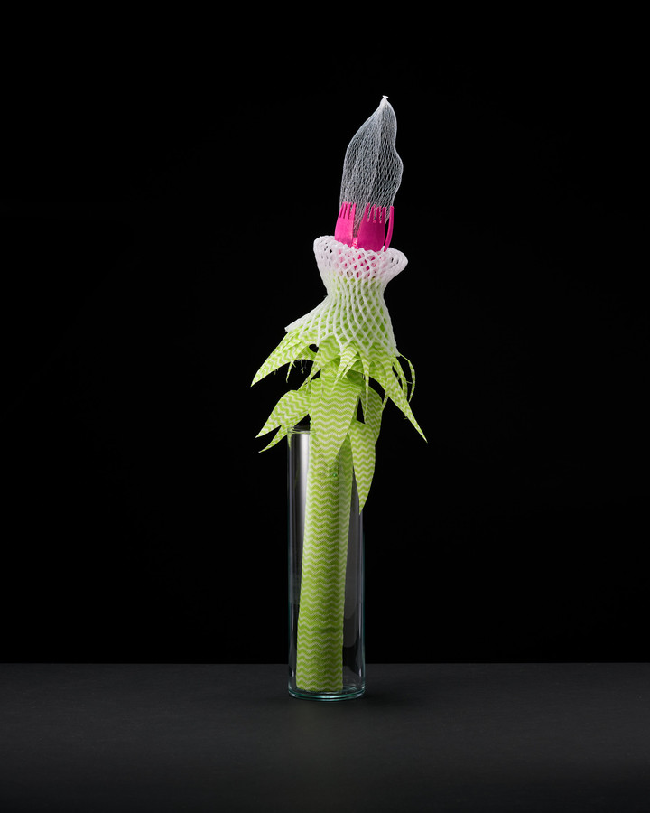 Nina Katchadourian — Plant #36