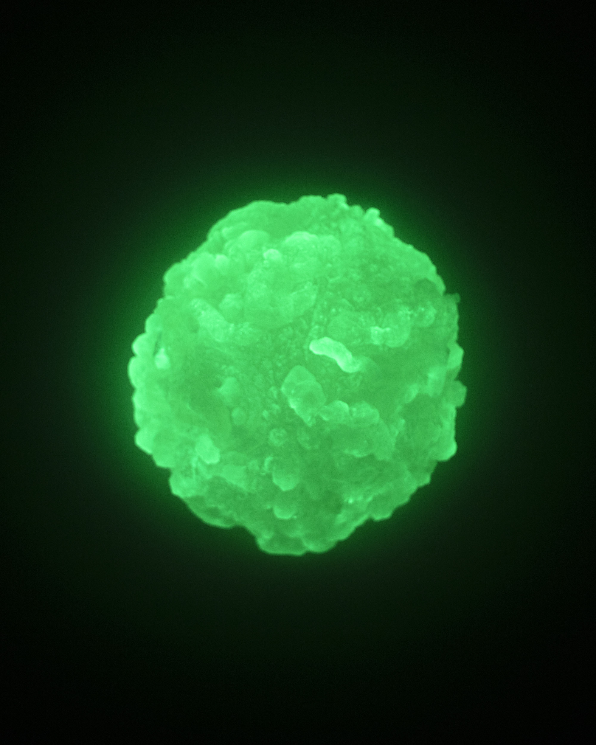 Sunspot/Moonglow by Lynda Benglis