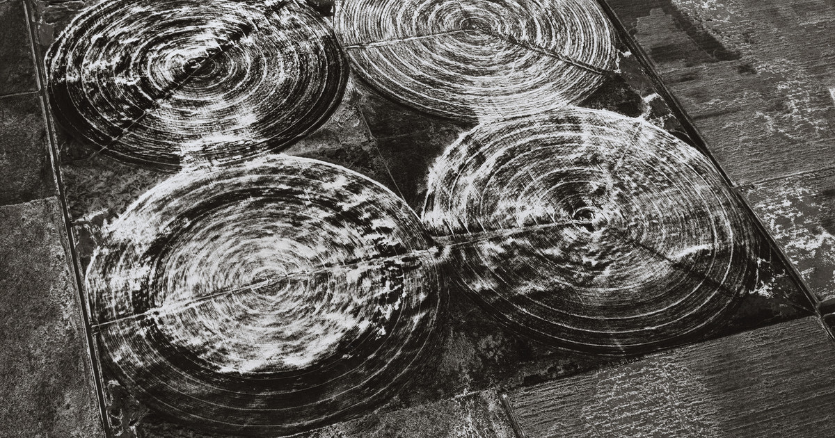 Emmet Gowin: Photographs: Gowin, Emmet: 9780394732497