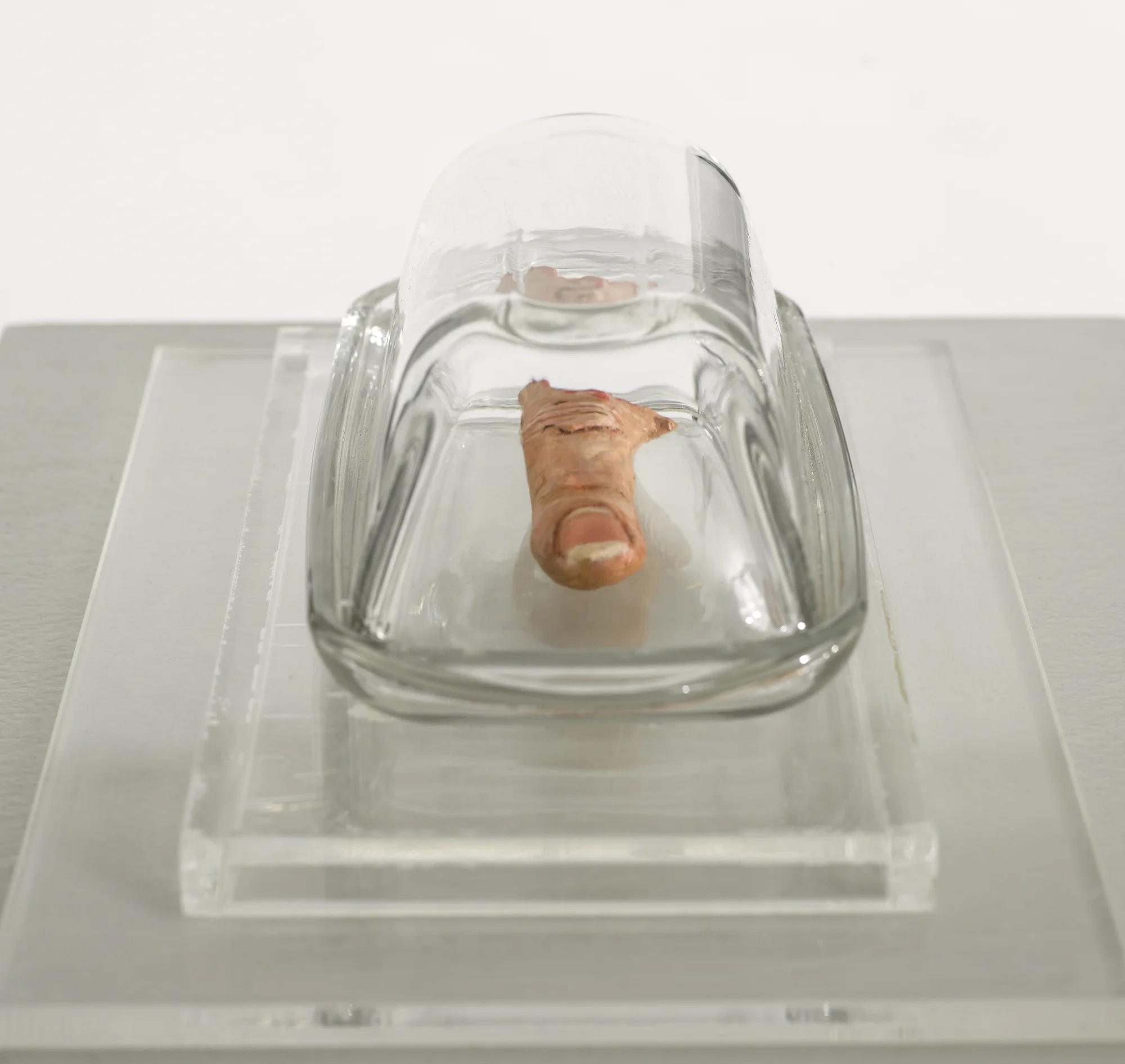 Finger of Audrey Flack by Paul Thek