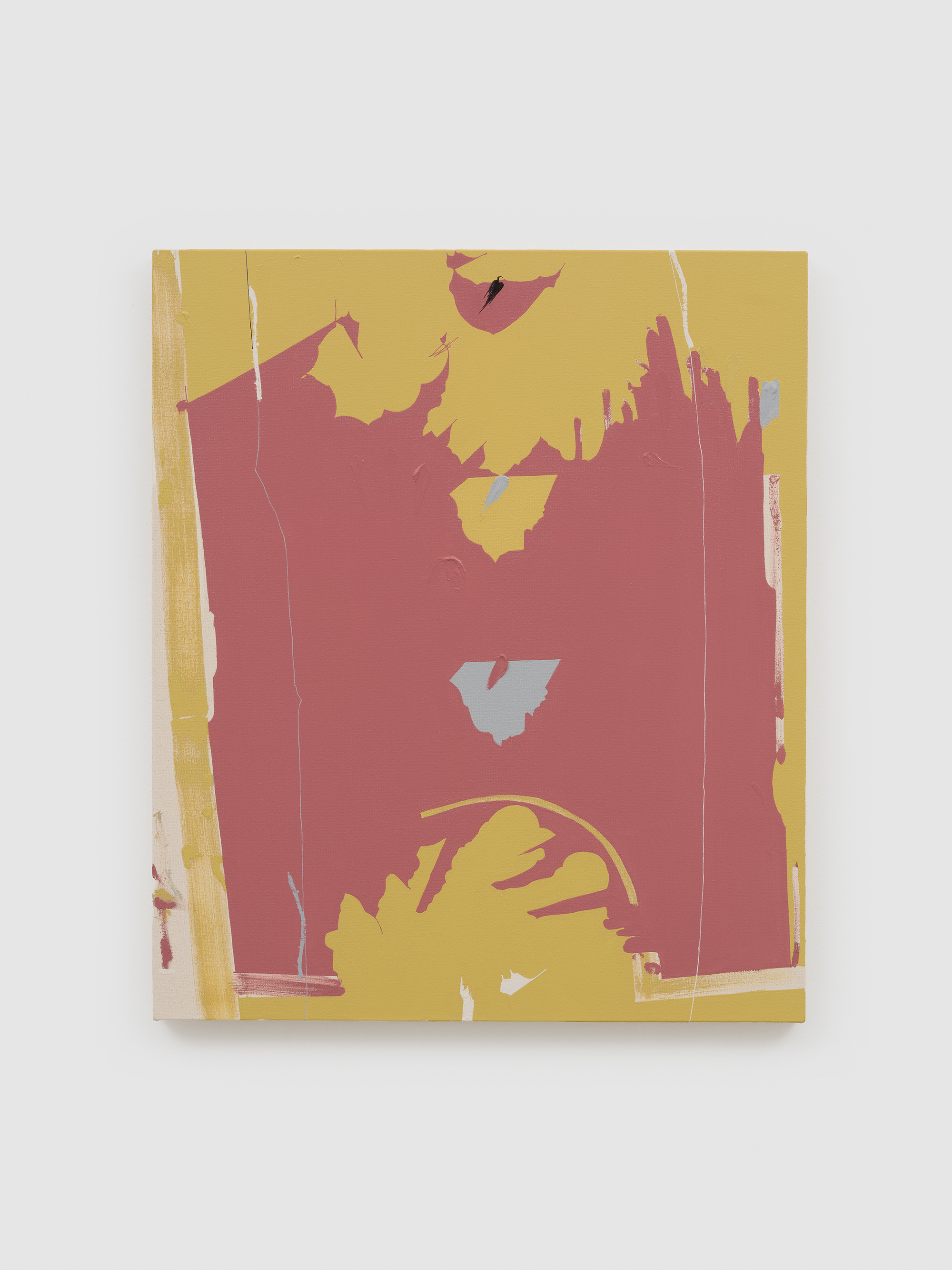 Maysha the Fool by Maysha Mohamedi