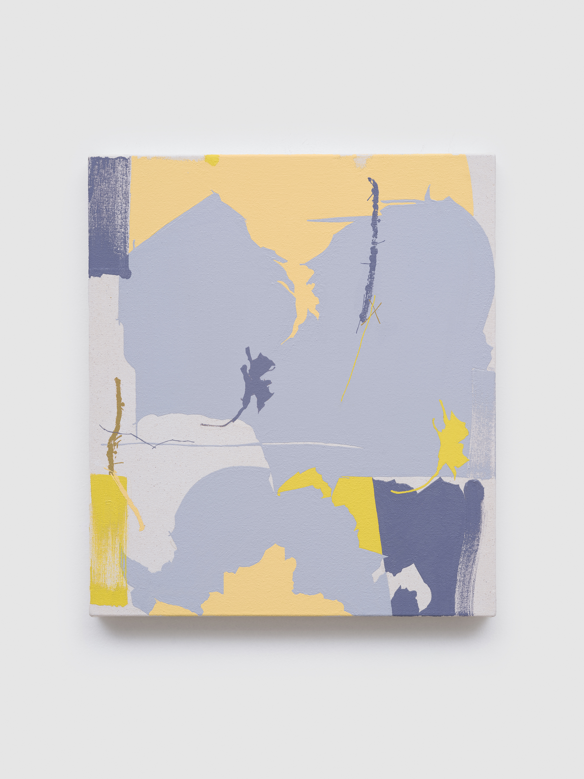 Wit by Maysha Mohamedi