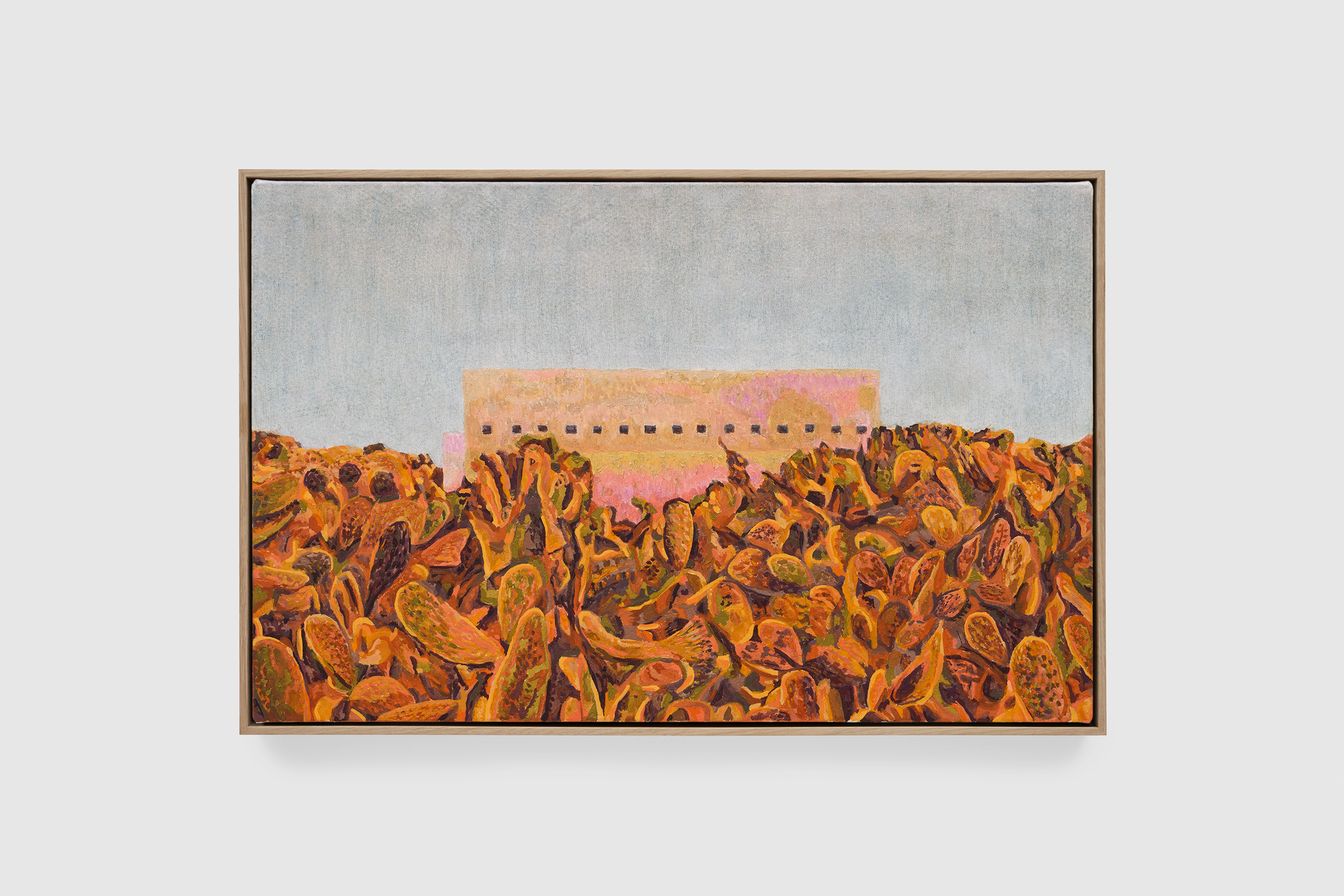 Cactus Garden by William Monk