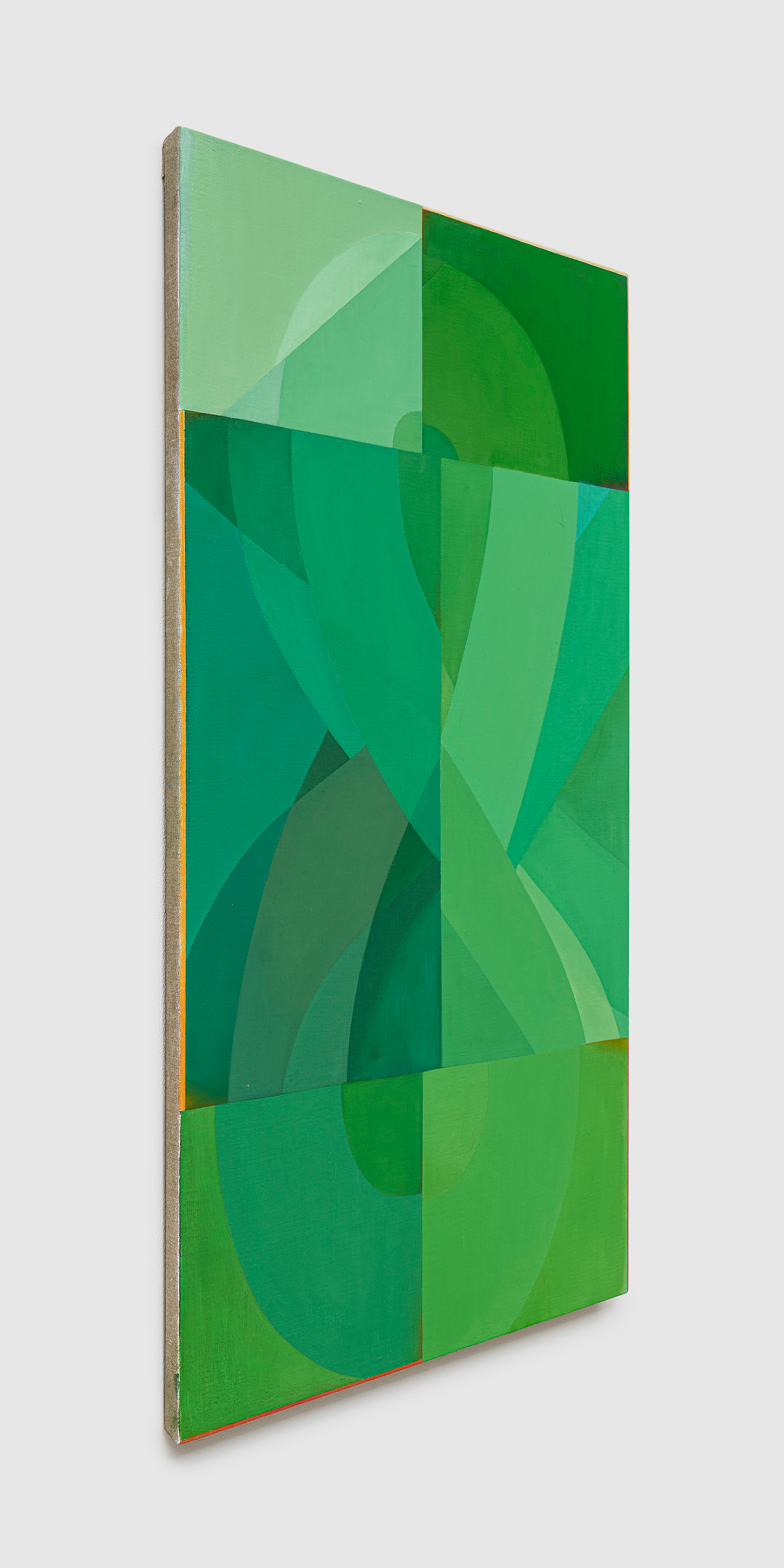 Mechanisms of the Subtle Body by Nathlie Provosty