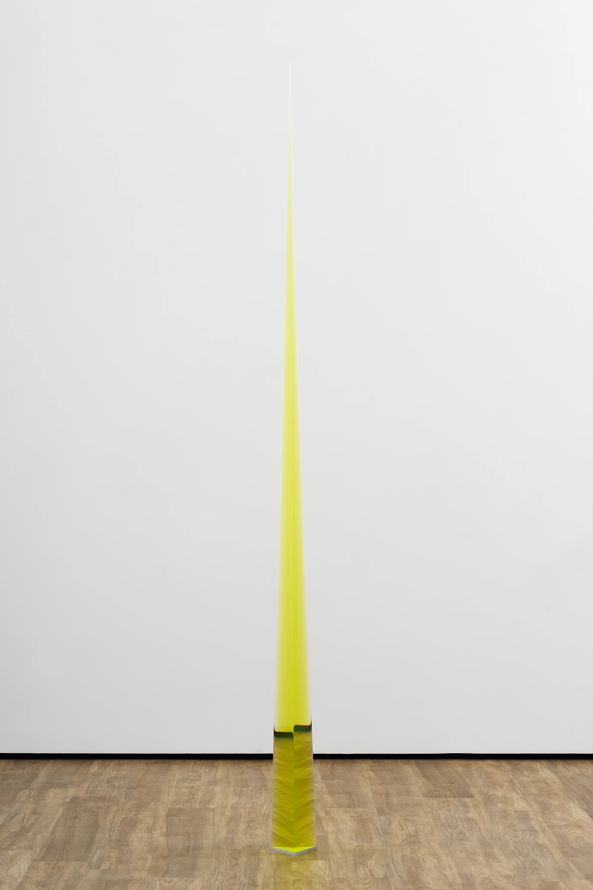 2/5/18 (Flo Yellow Needle) by Peter Alexander