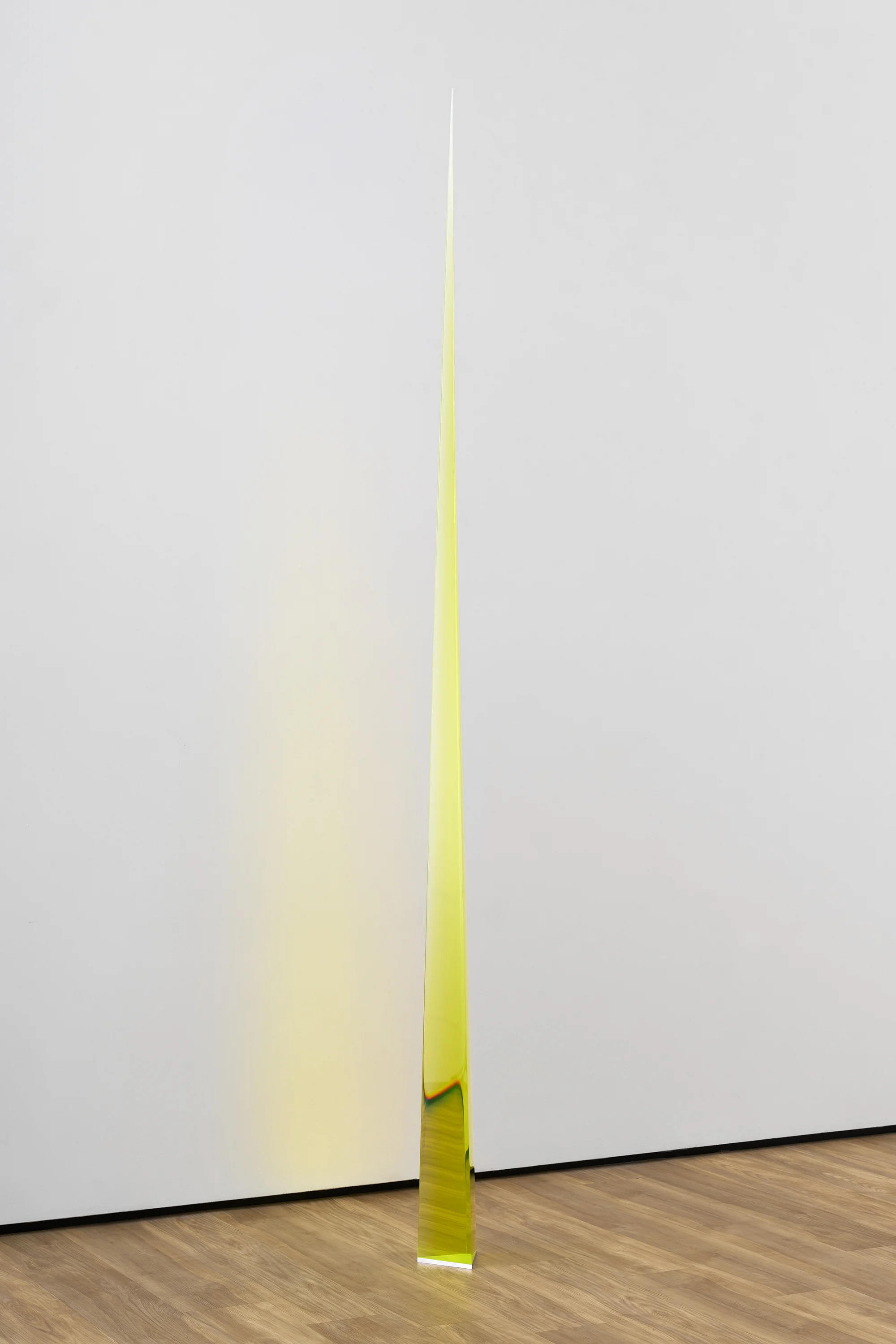 2/5/18 (Flo Yellow Needle) by Peter Alexander