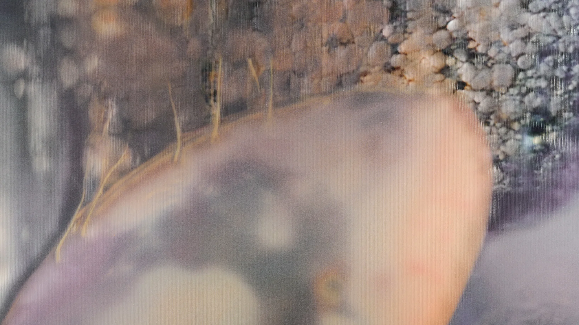 0þR†KLñ†0W£ by Anicka Yi