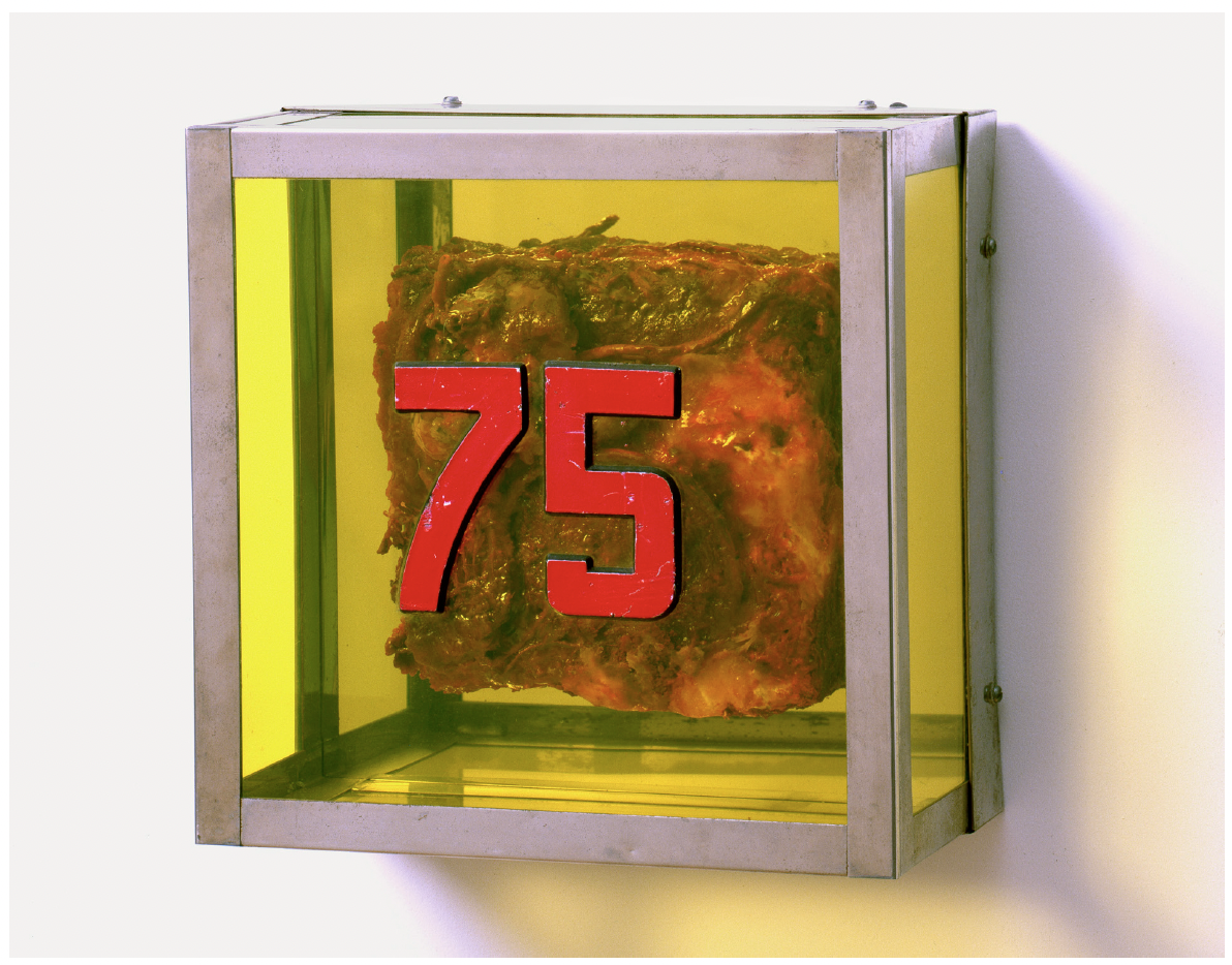 Untitled (75) , 1964 by Paul Thek