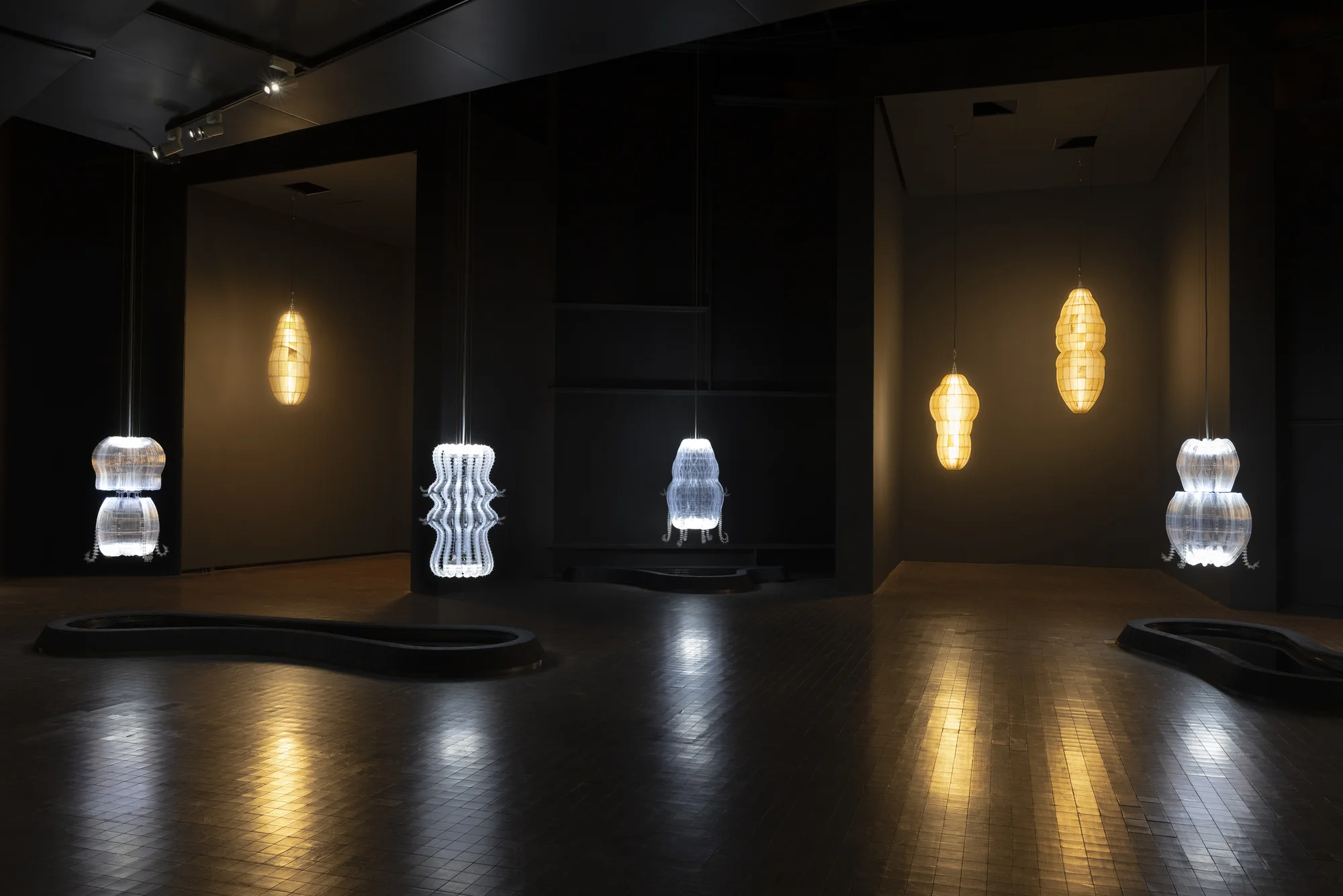 Installation view of There Exists Another Evolution, But In This One by Anicka Li at the Leeum Museum