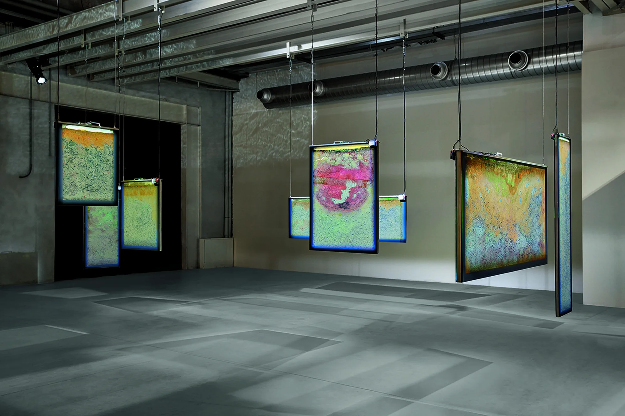 Biologizing the Machine (spillover zoonotica) by Anicka Yi