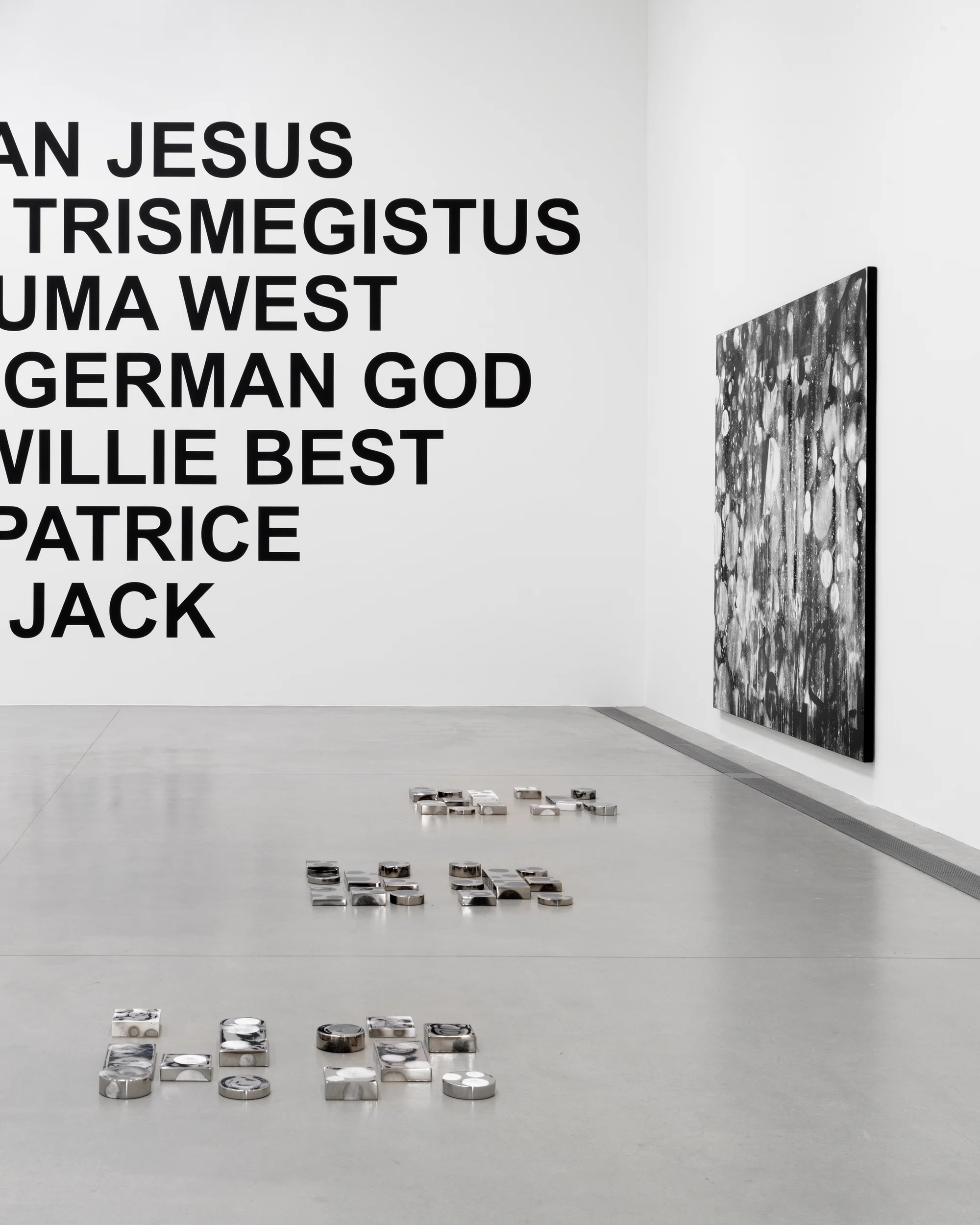 Installation view of Can I Be? by Adam Pendleton at the Langen Foundation