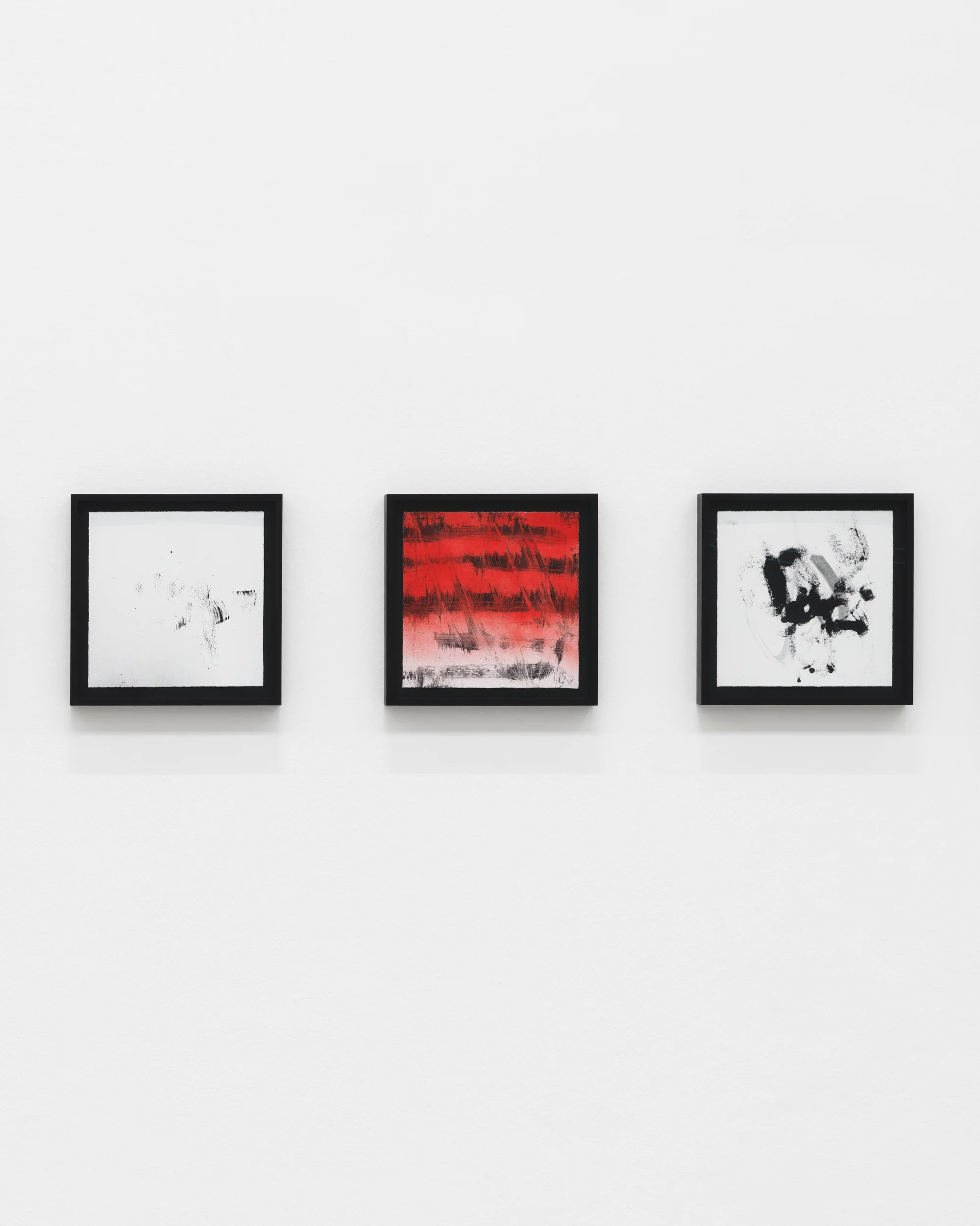 Installation view by Can I Be? by Adam Pendleton at the Langen Foundation