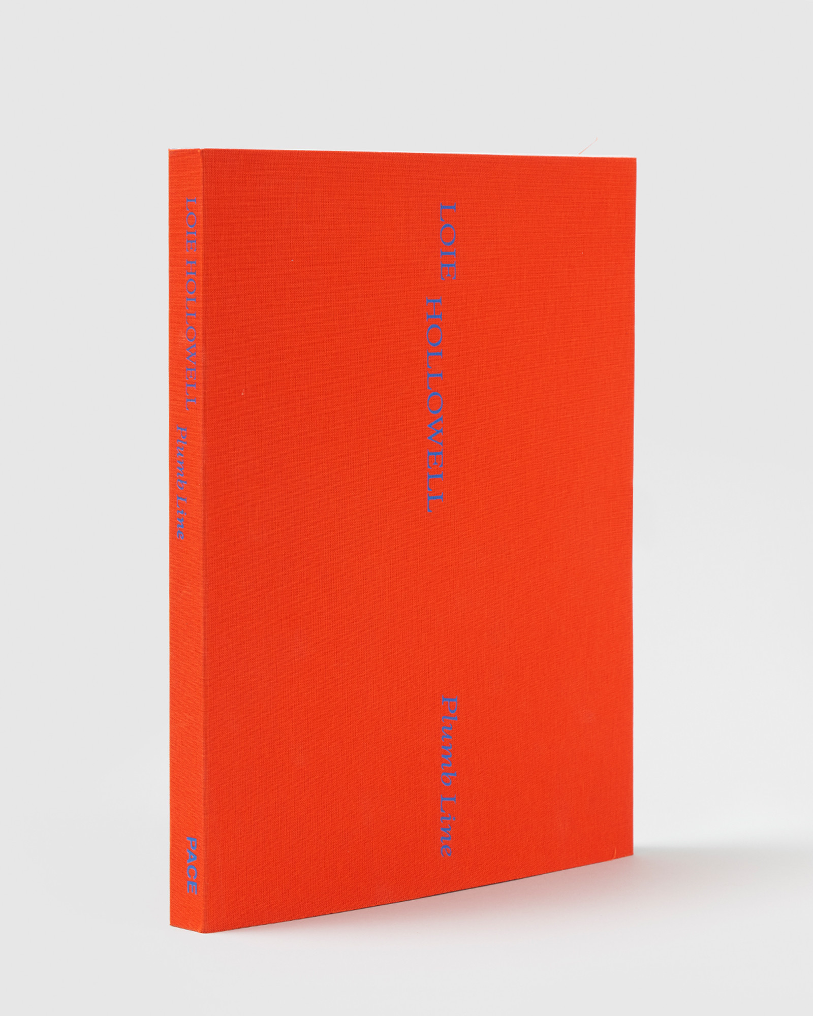 Catalogue Loie Hollowell Plumb Line.jpg