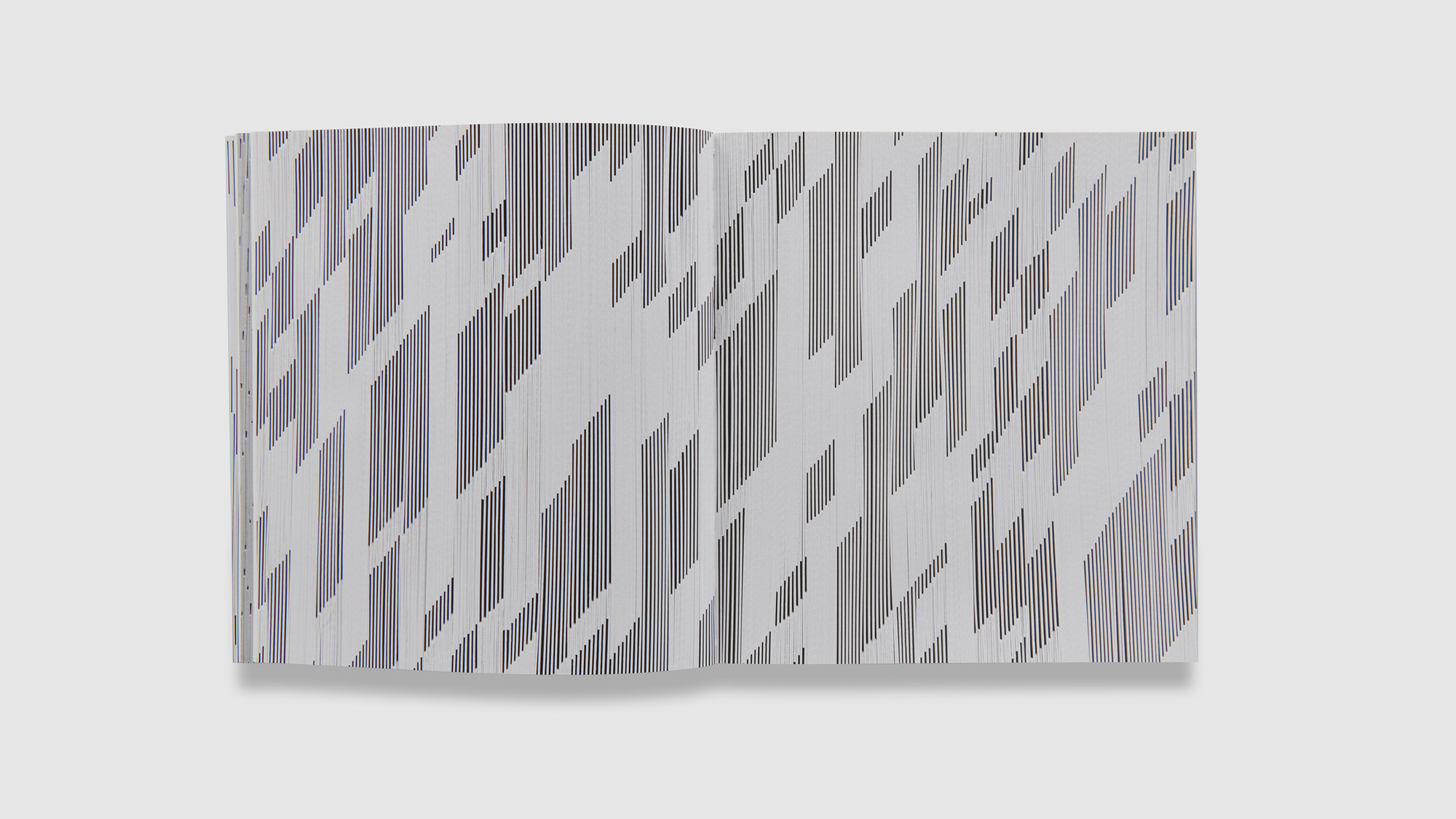 Catalogues_2021_Tara_Donovan_Book_Compositions_v04_16-9.jpg