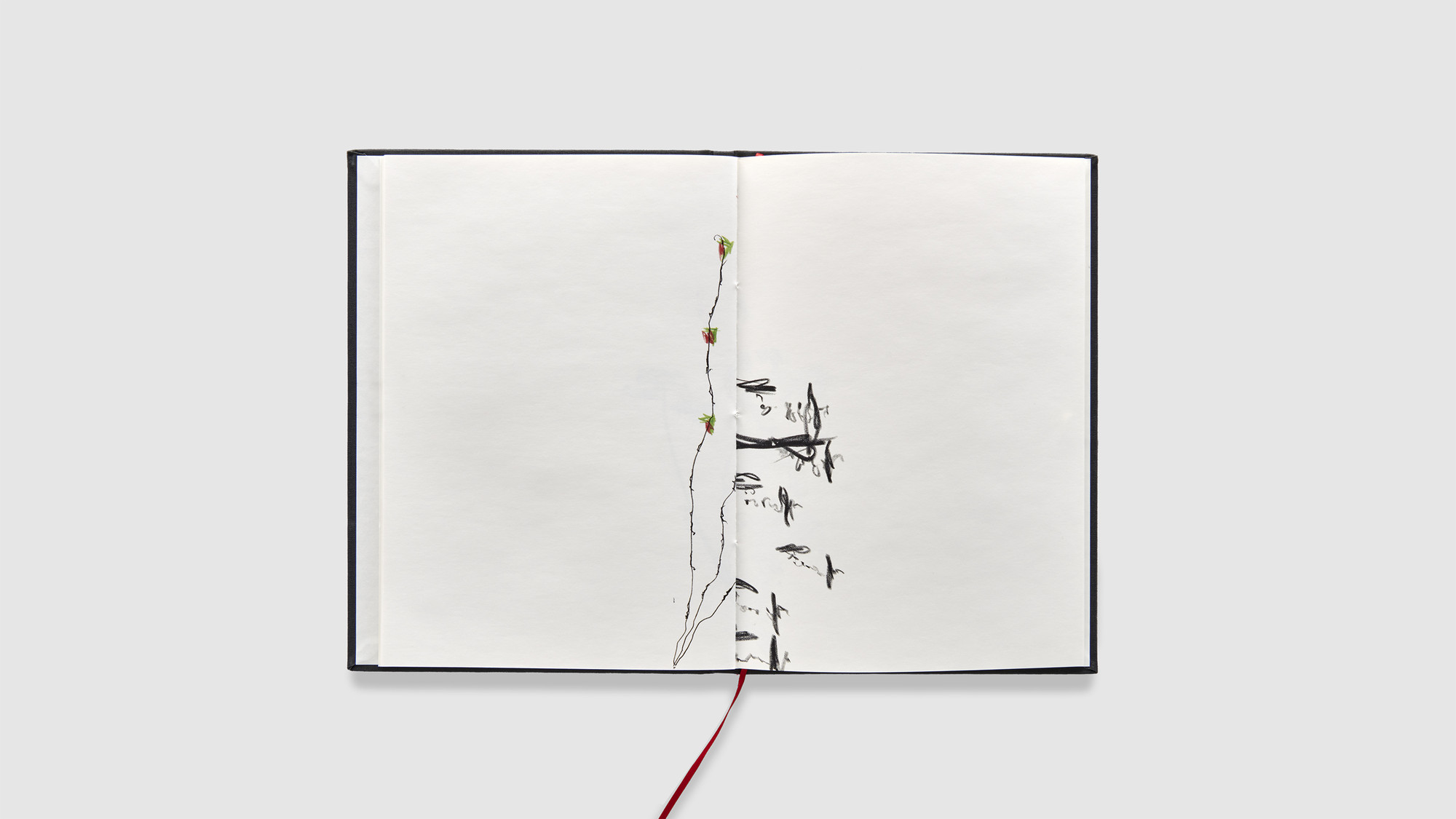 Catalogues_2021_Tuttle_Book_A Drawing Book_V03_05_16-9.jpg