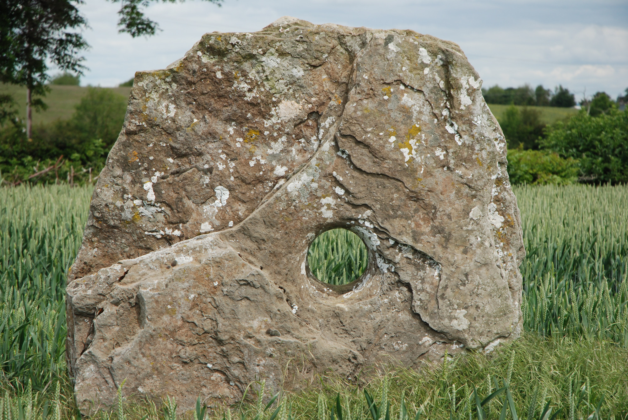 DSC_9374.JPG