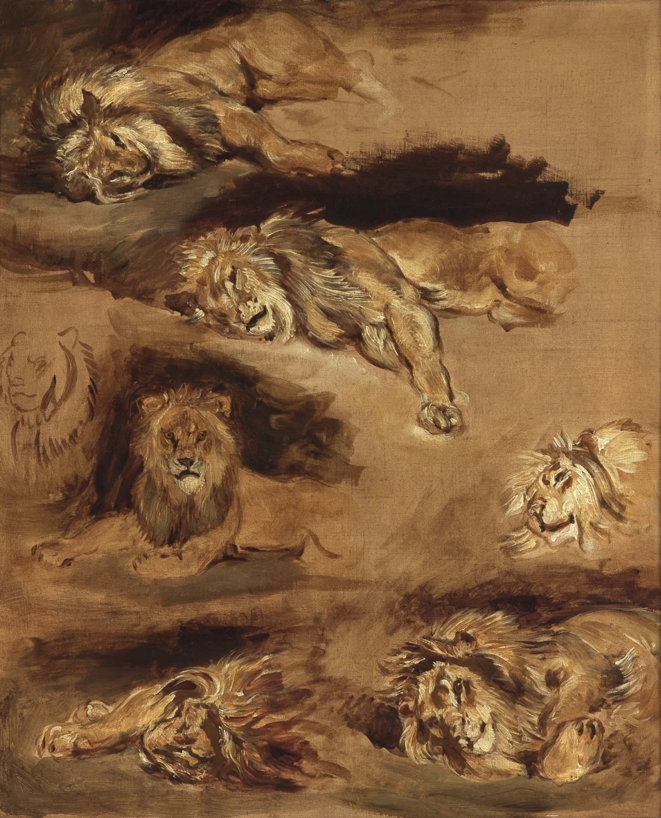 Études de lions couches by Eugène Delacroix