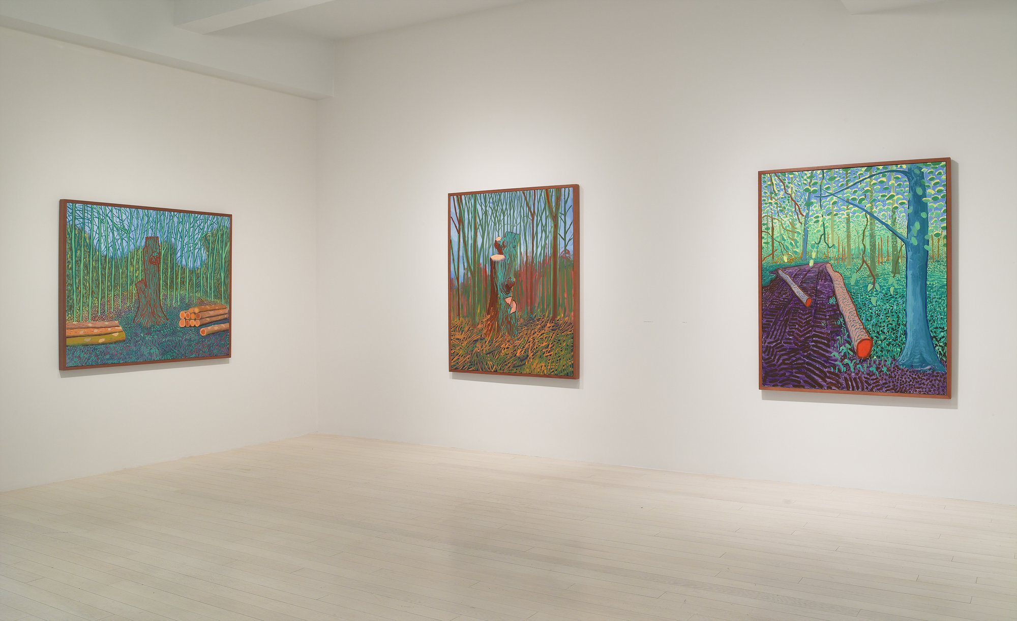 HOCKNEY_inst_2009_v08.jpg