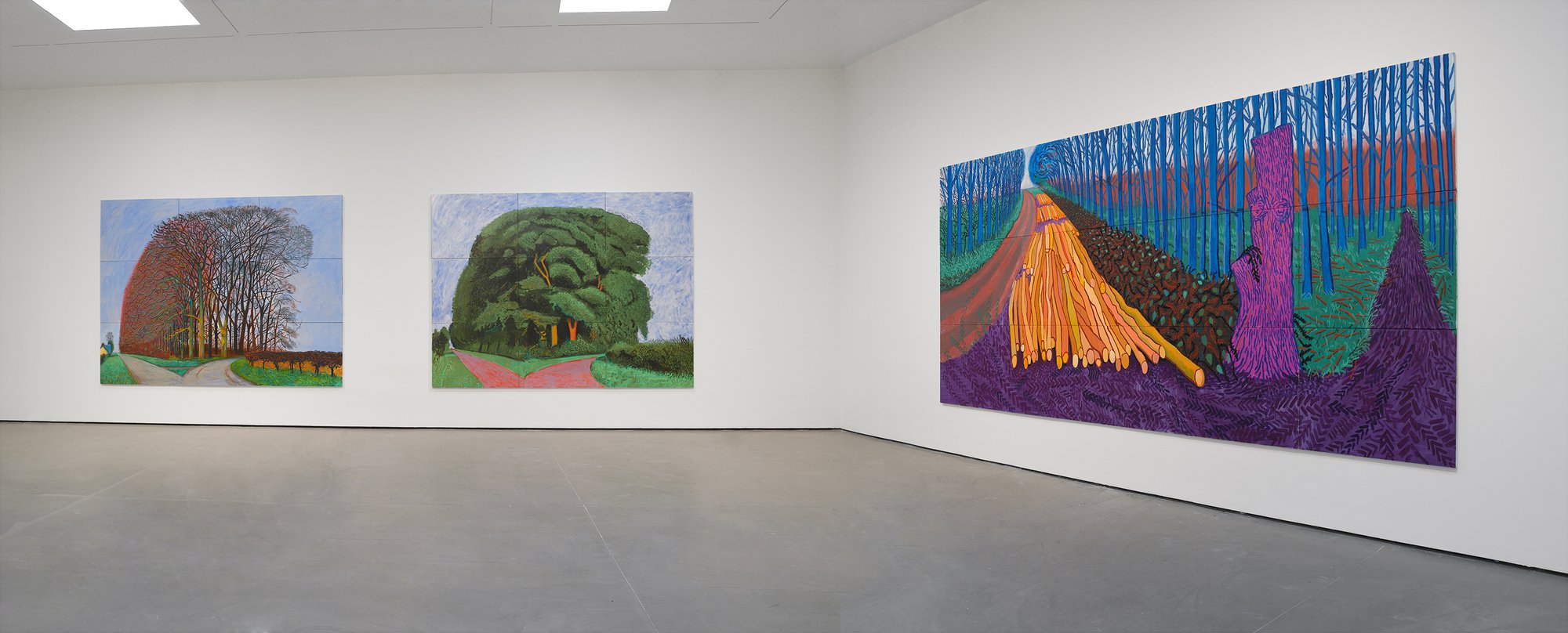 HOCKNEY_inst_2009_v14.jpg