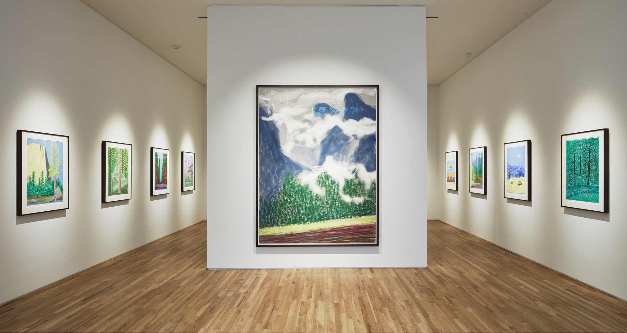 HOCKNEY_inst_PA_2017_v06-High+Resolution+—+300+dpi+.jpg