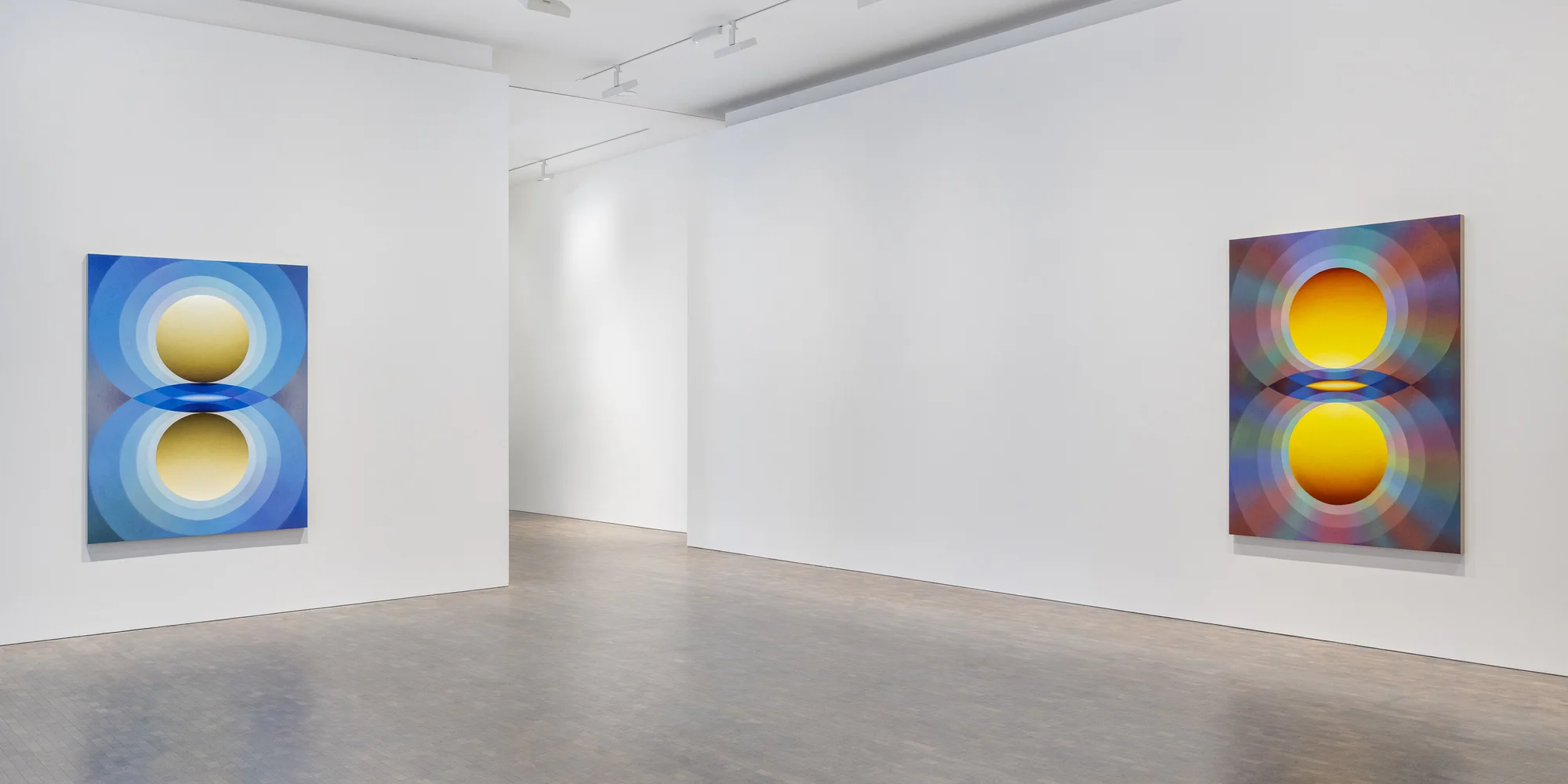 Installation view of Overview Effect by Loie Hollowell