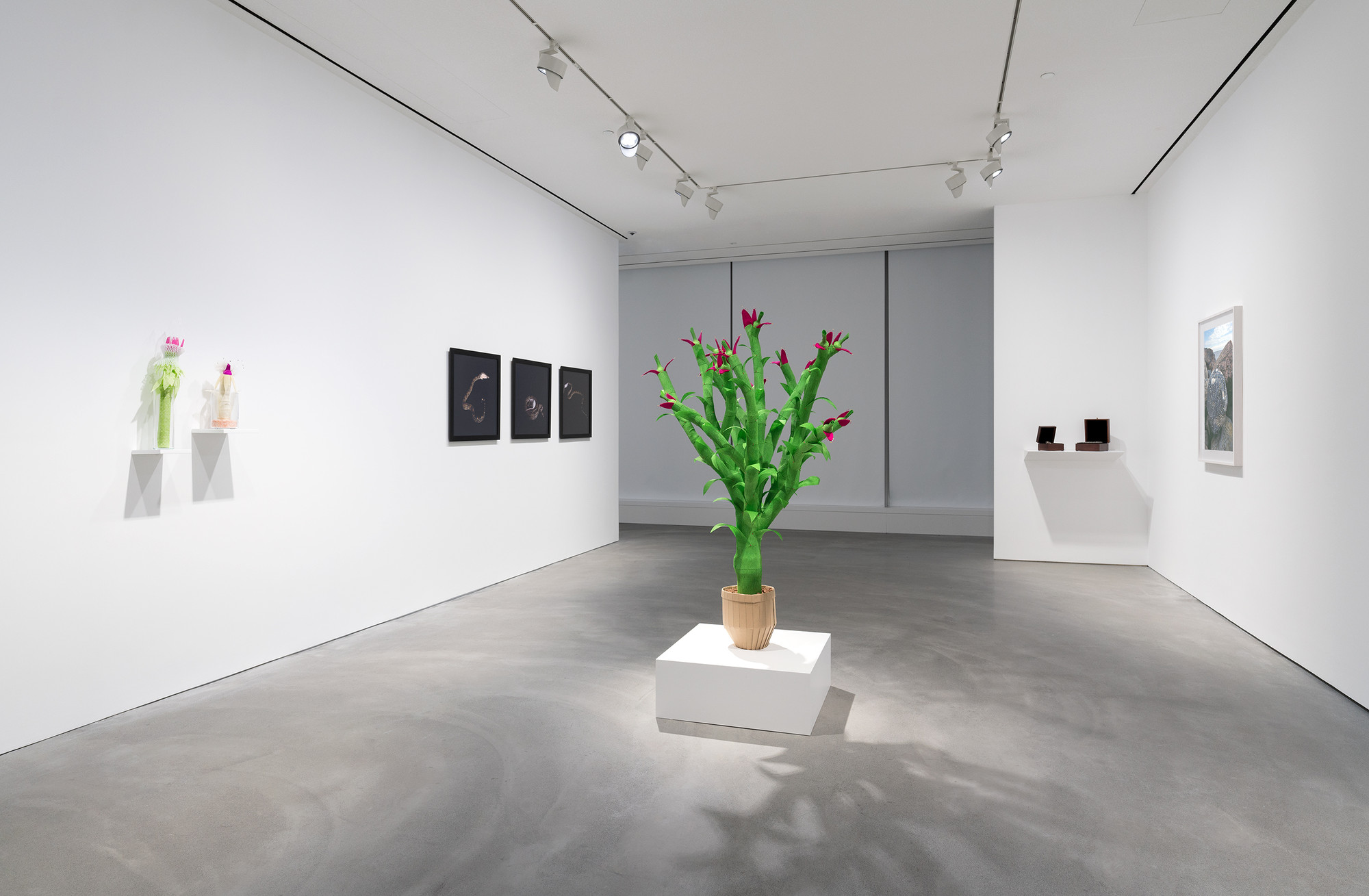 KATCHADOURIAN_INST_HK_20211119_v32.jpg