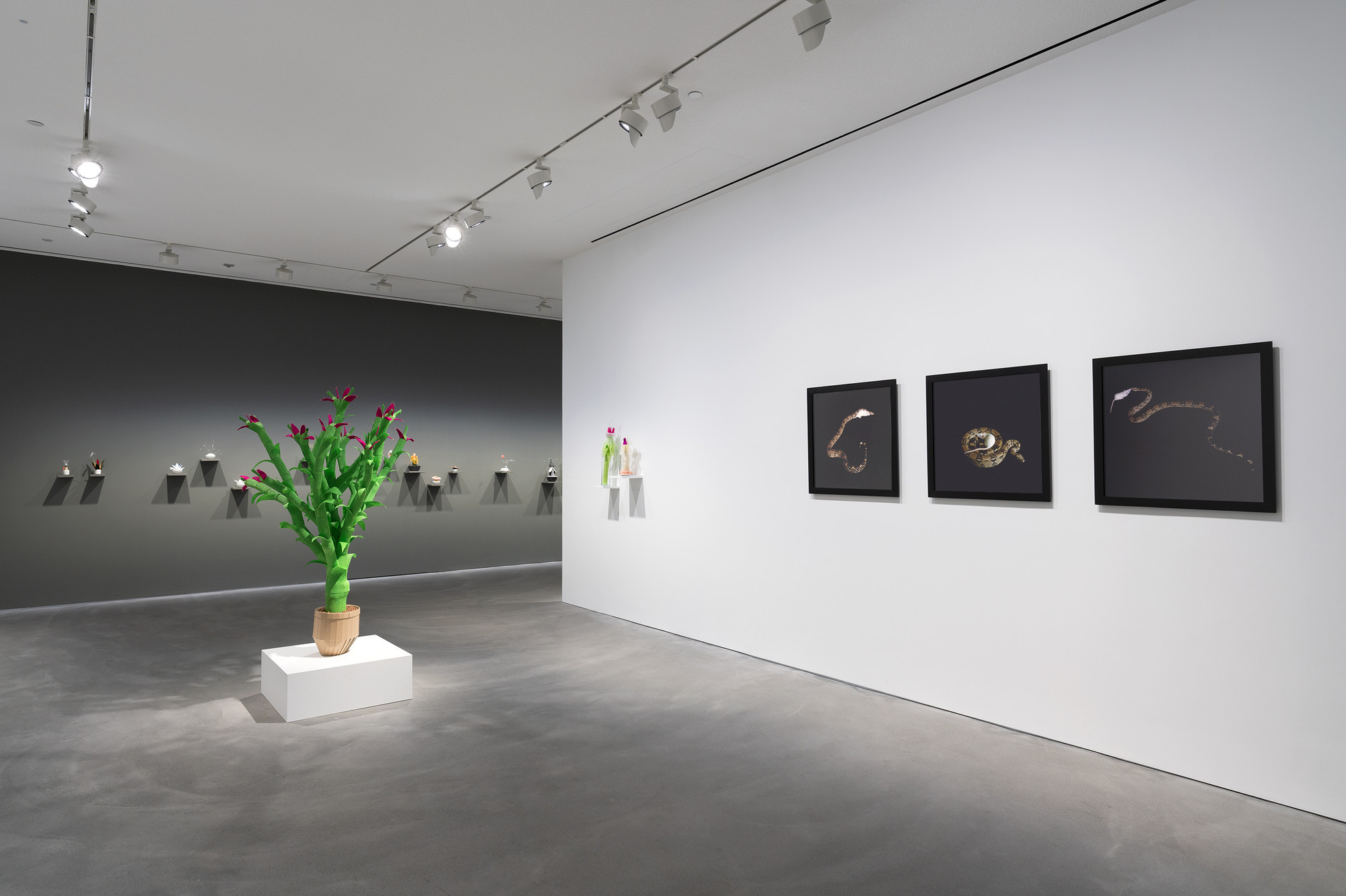 KATCHADOURIAN_INST_HK_20211119_v38.jpg
