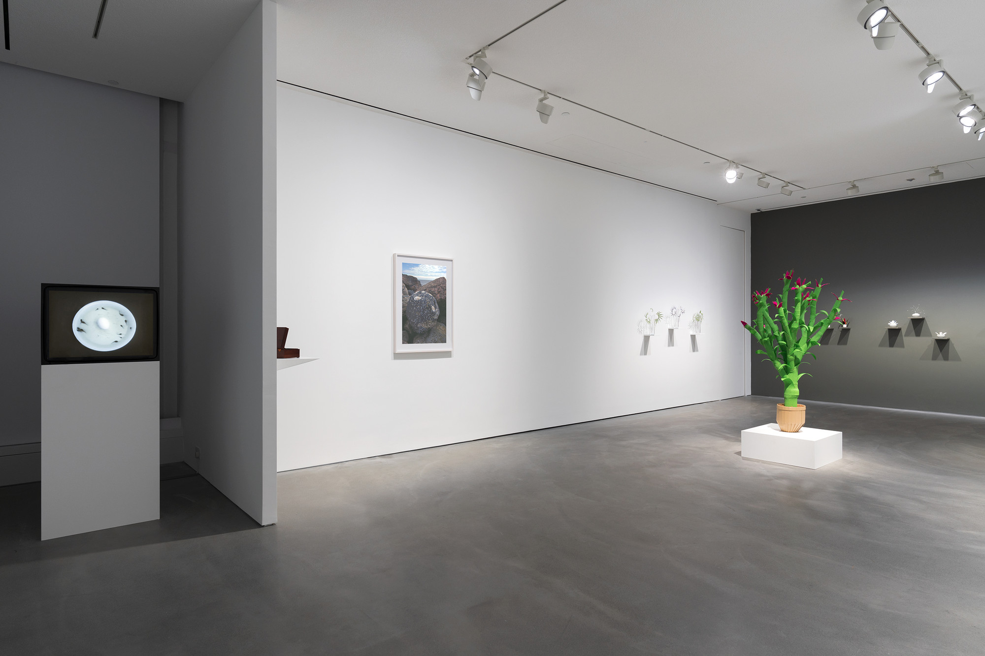 KATCHADOURIAN_INST_HK_20211119_v40.jpg