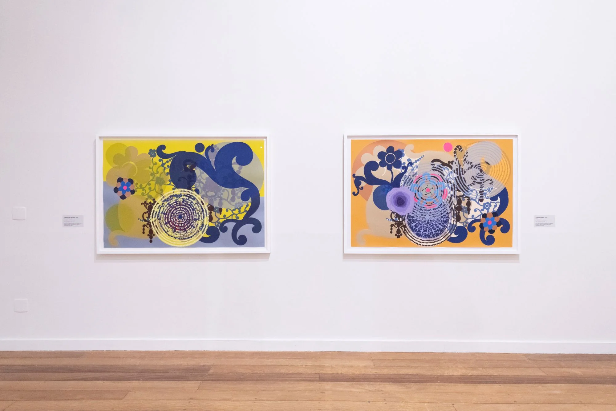 Installation view of engravings from the collection of the Pinacoteca de São Paulo by Beatriz Milhazes