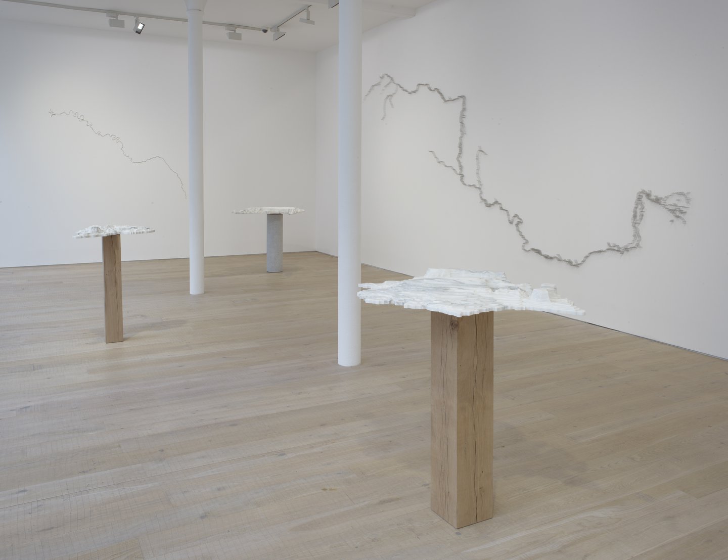 Maya Lin | Pace Gallery