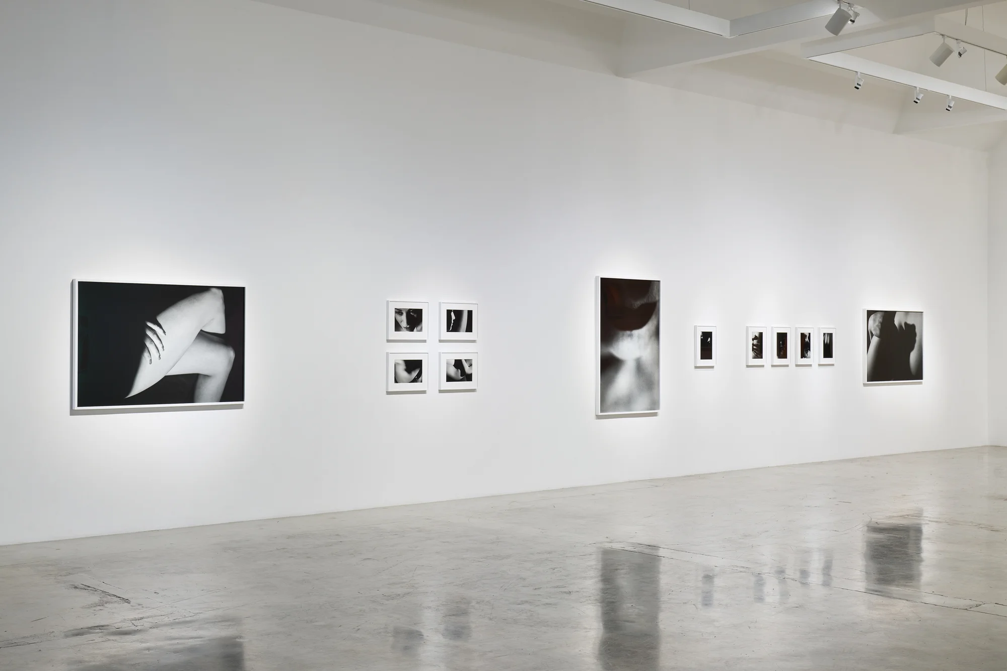 Installation view of LA by David Lynch