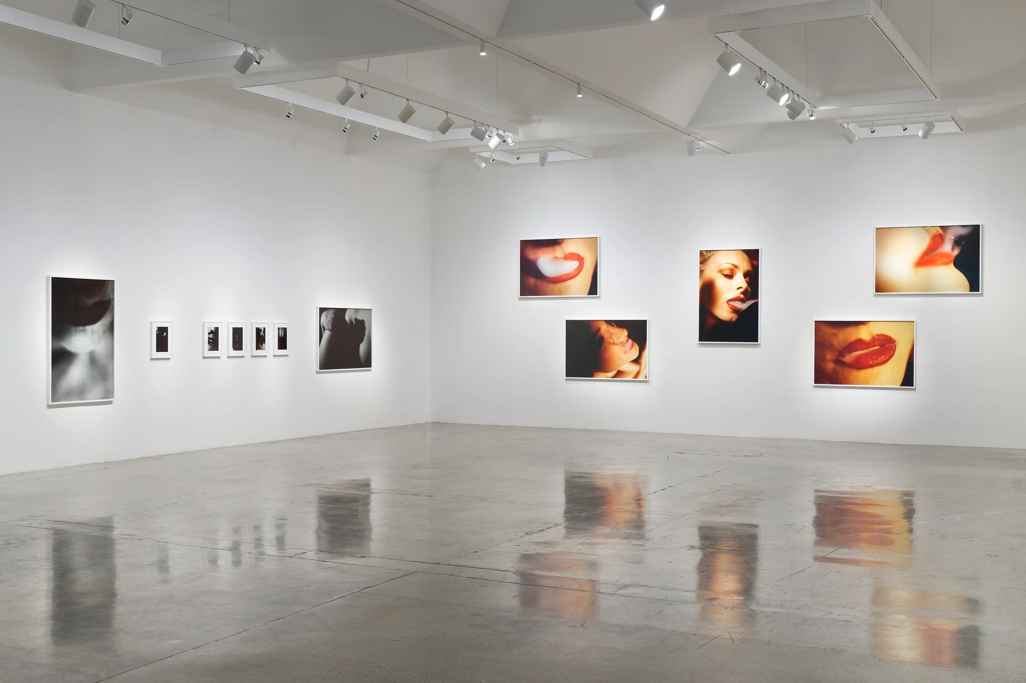 Installation view of LA by David Lynch