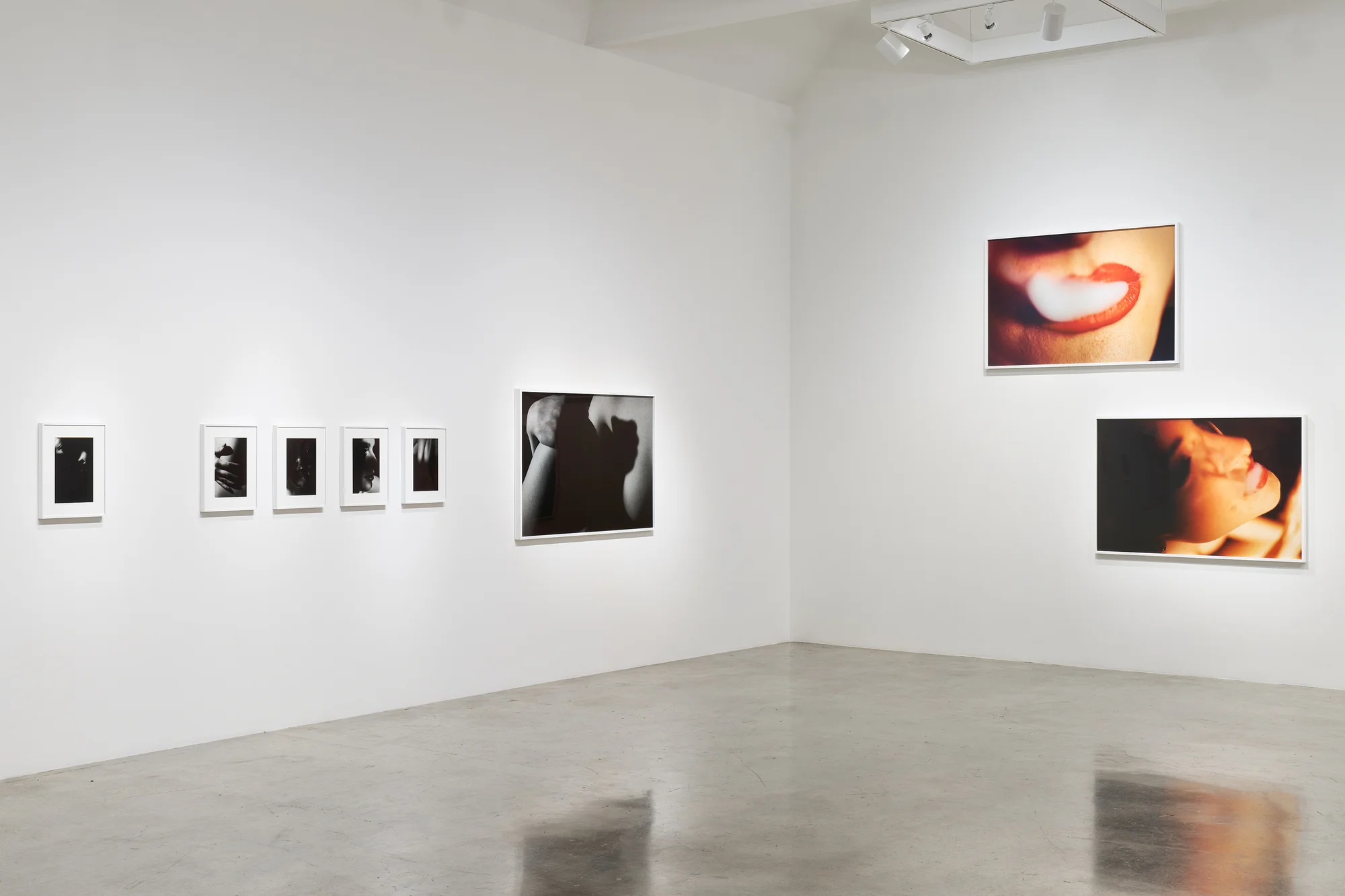 Installation view of LA by David Lynch