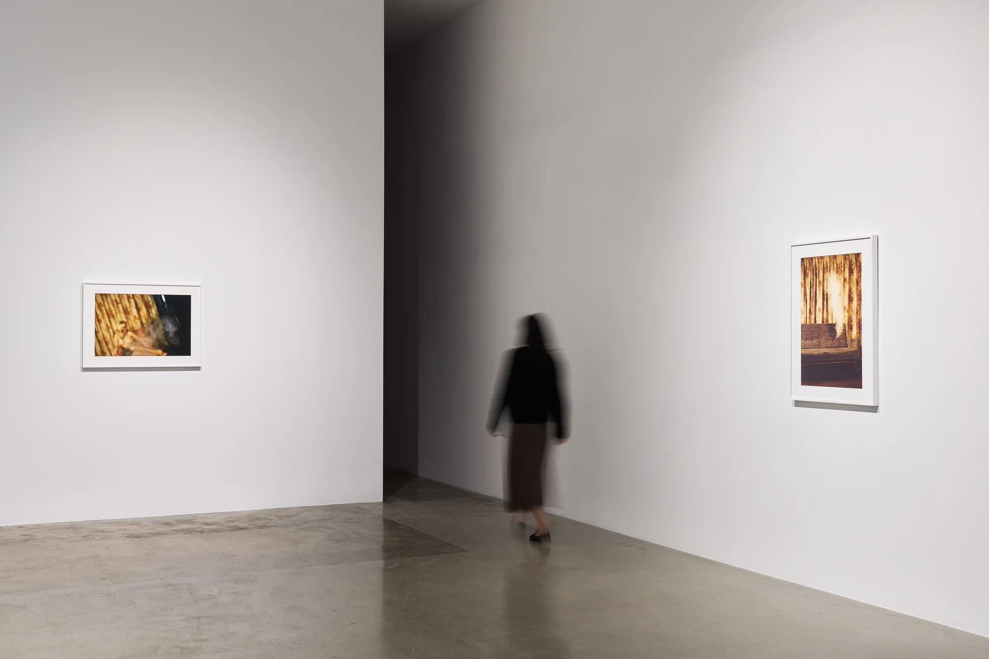 Installation view of LA by David Lynch
