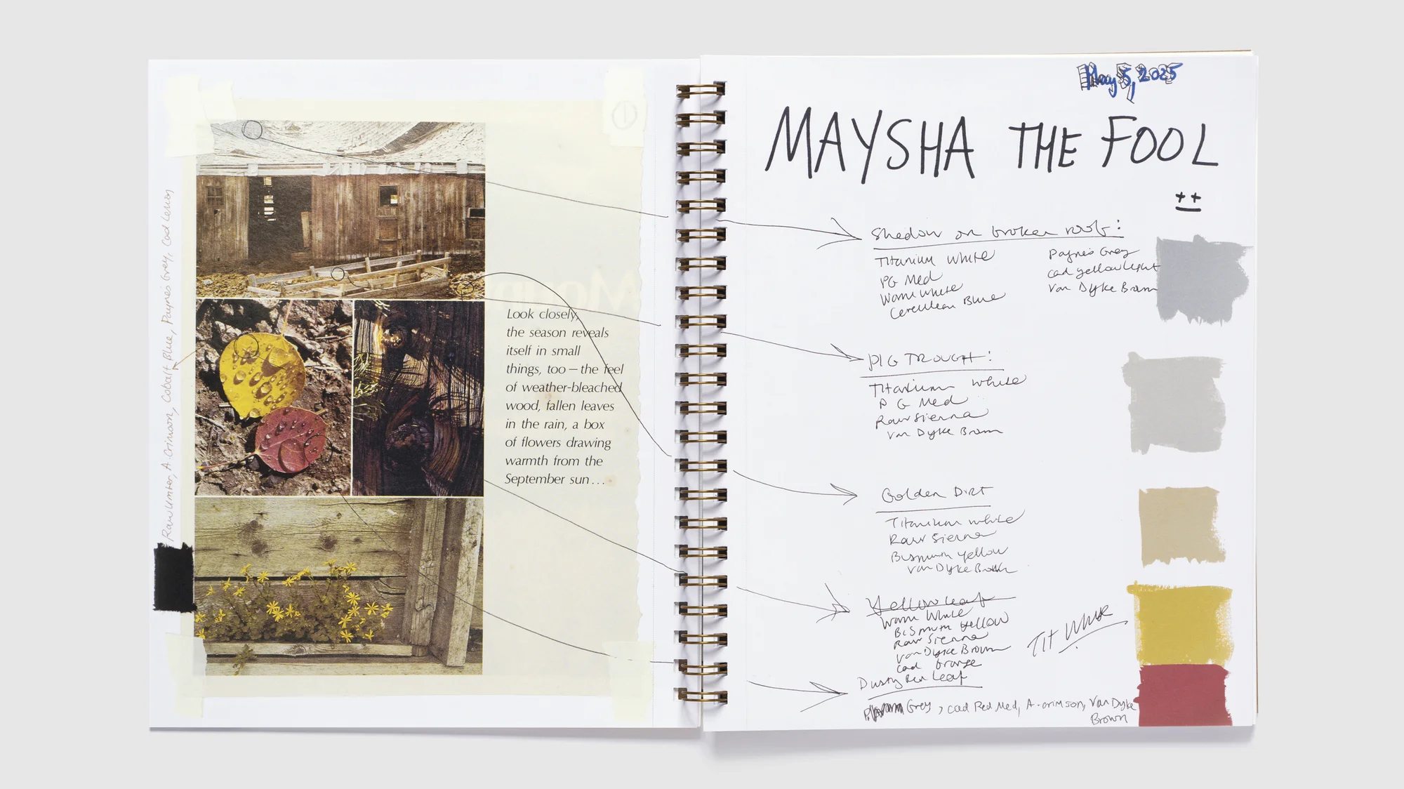Interior spread of Maysha the Fool by Maysha Mohamedi