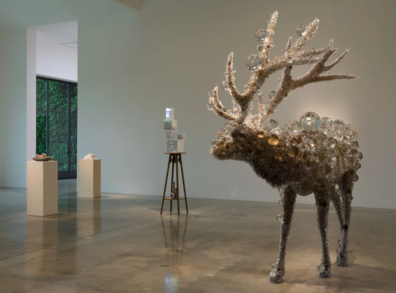 Kohei Nawa LA install