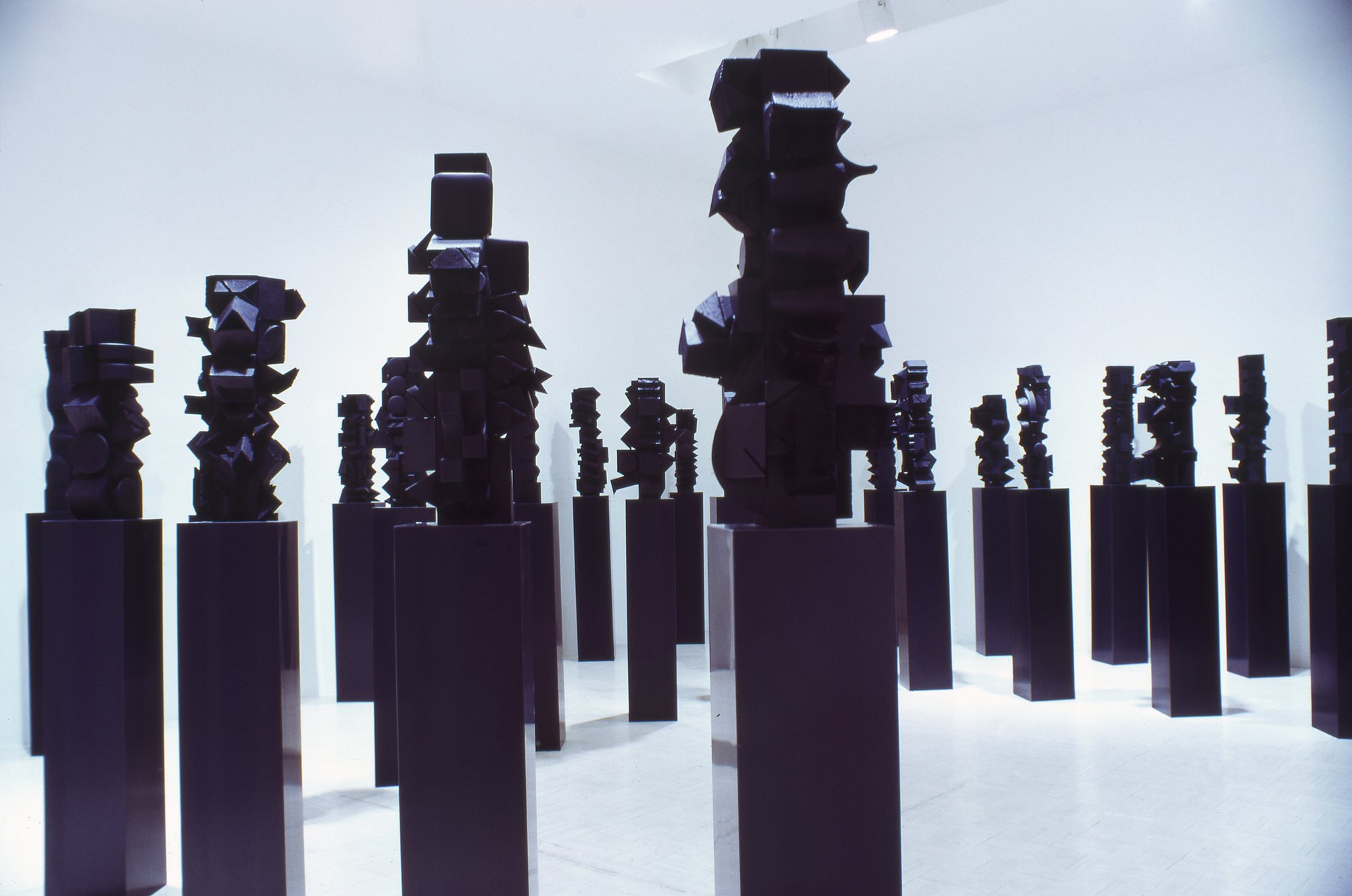 NEVELSON_inst_1971_v03 copy.jpg