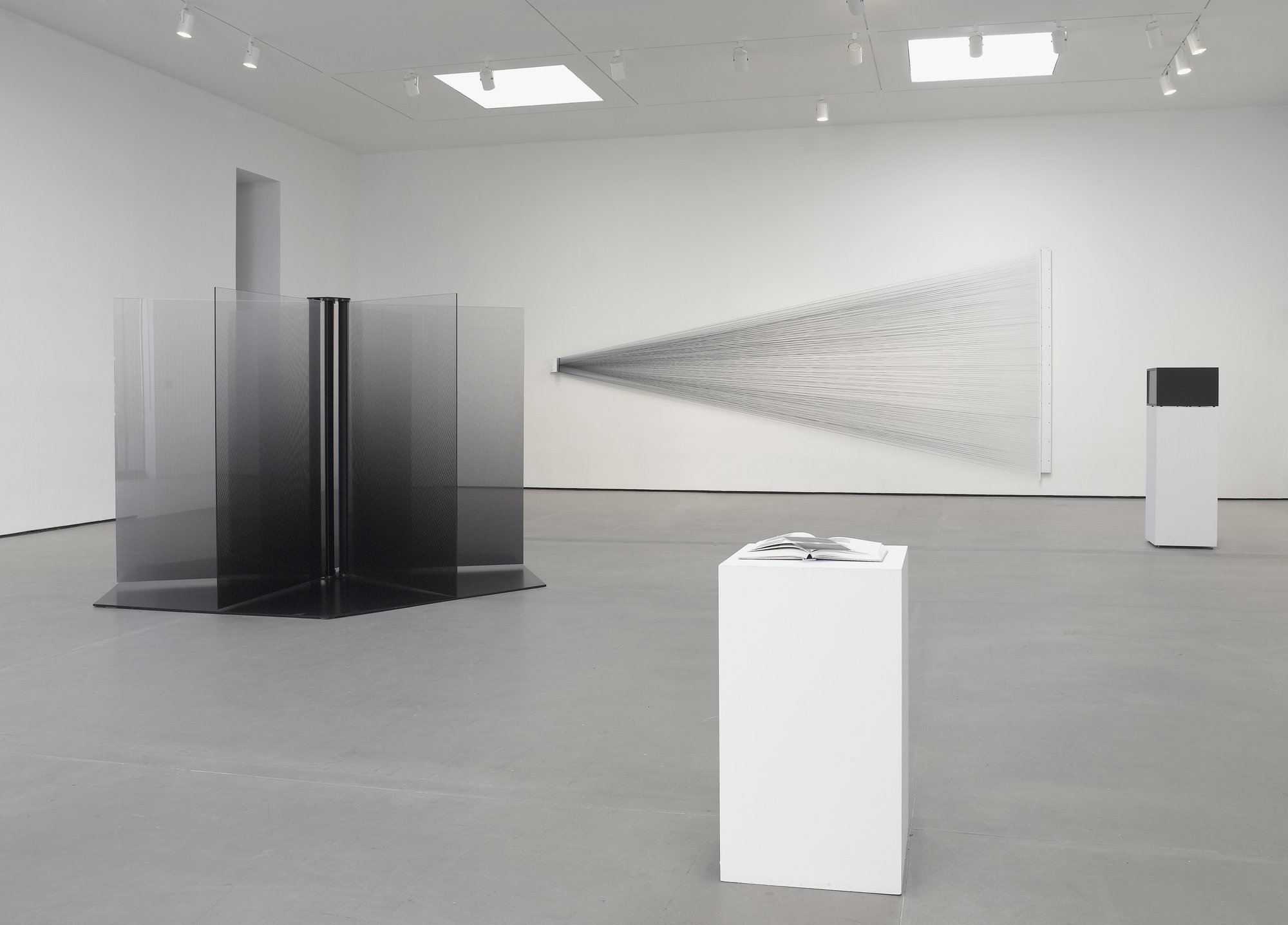 Carsten Nicolai | Pace Gallery Carsten Nicolai | Pace Gallery