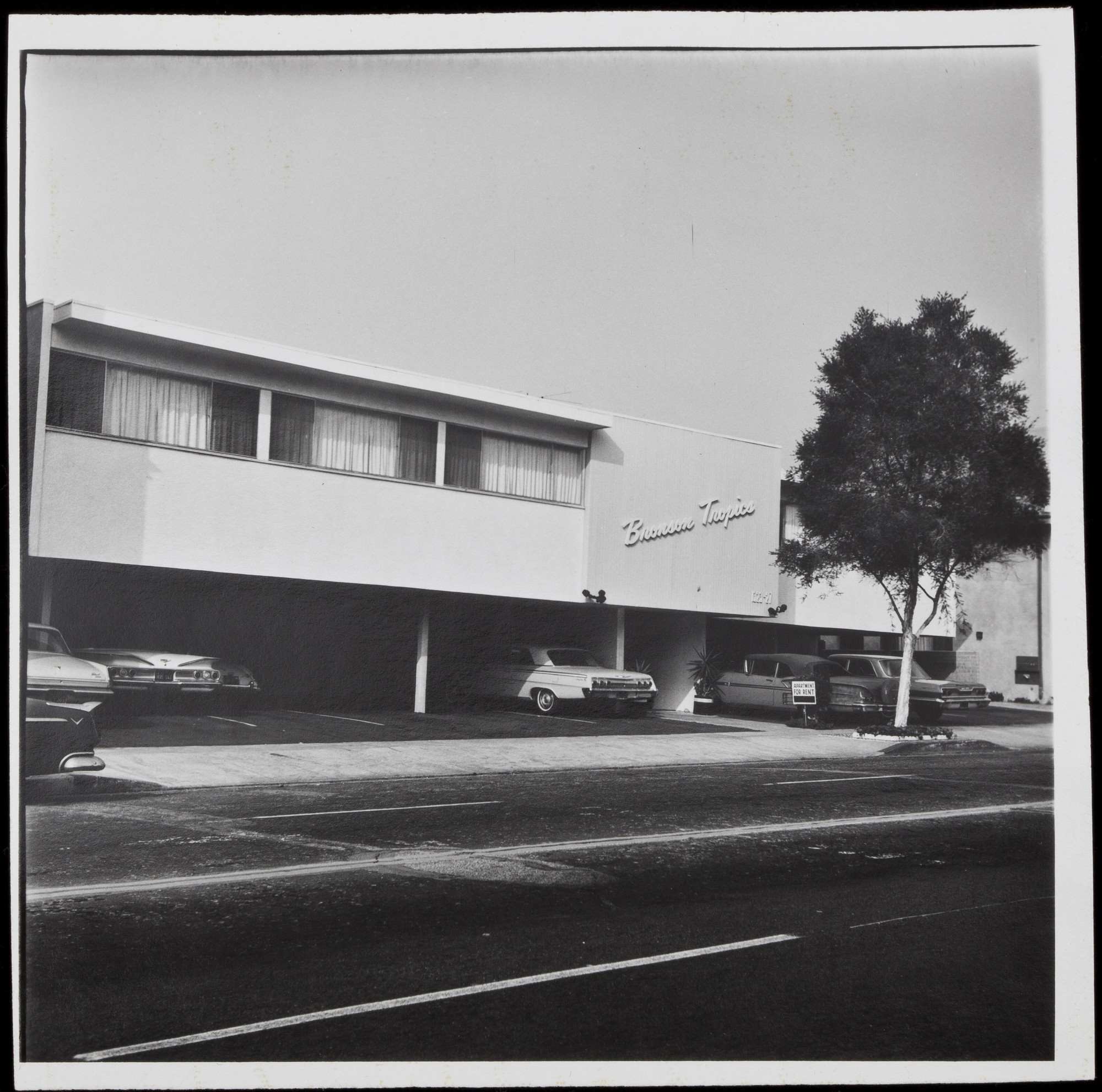 PH.65.29 B 1323 Bronson from Some Los Angeles Apartments.jpg