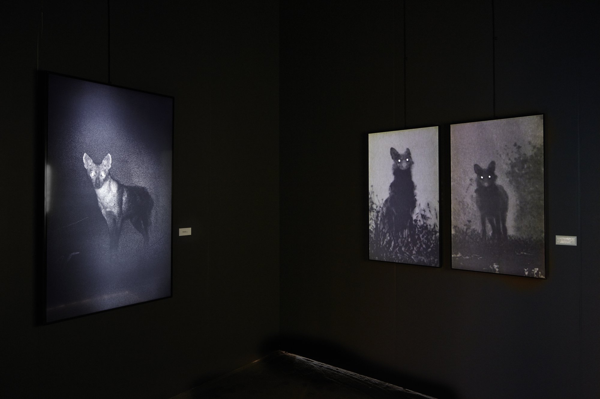 PHOTOFAIRS_inst_2018_v04.jpg