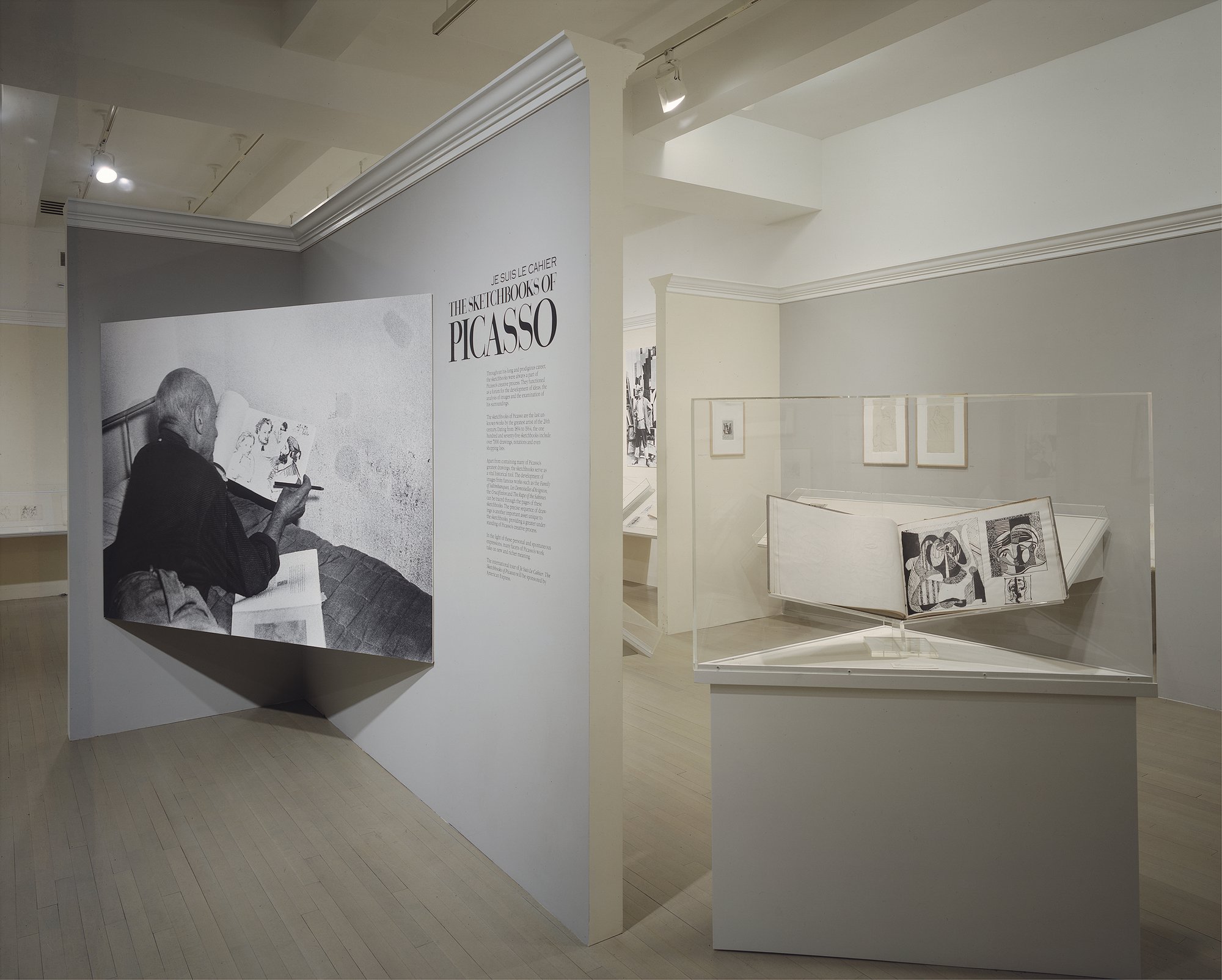 PICASSO_inst_1986_v05 copy.jpg