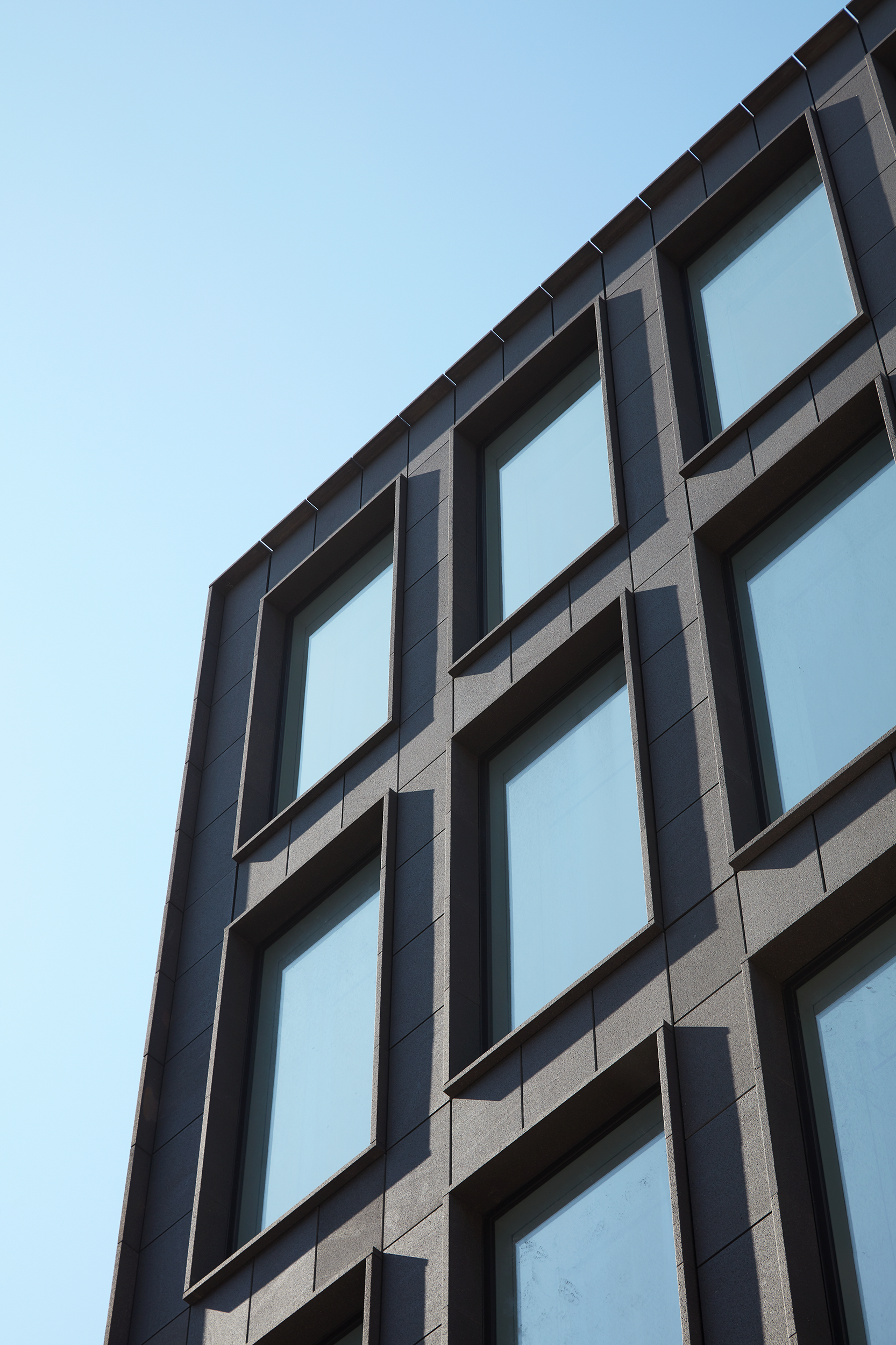 Pace Gallery 0385.png