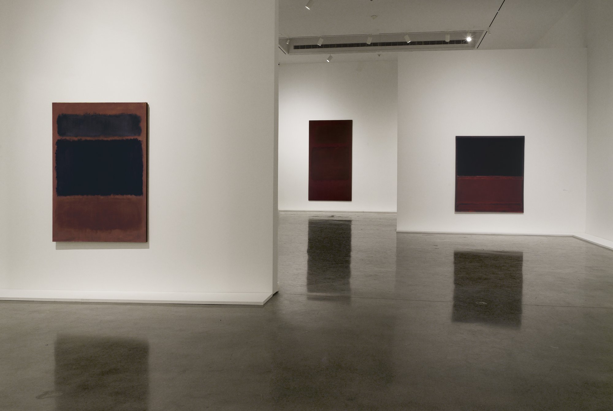 115 of Mark Rothko's paintings in Paris exhibition show how he sought to  express 'tragedy, death, ecstasy