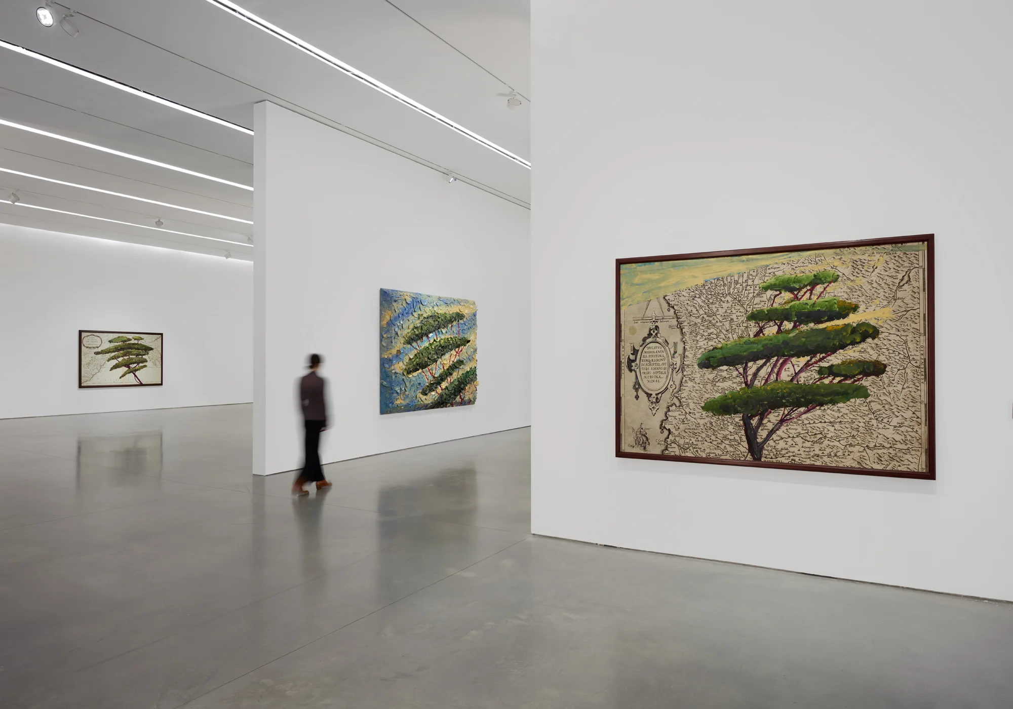 Installation view of Italy Through Its Trees by Julian Schnabel