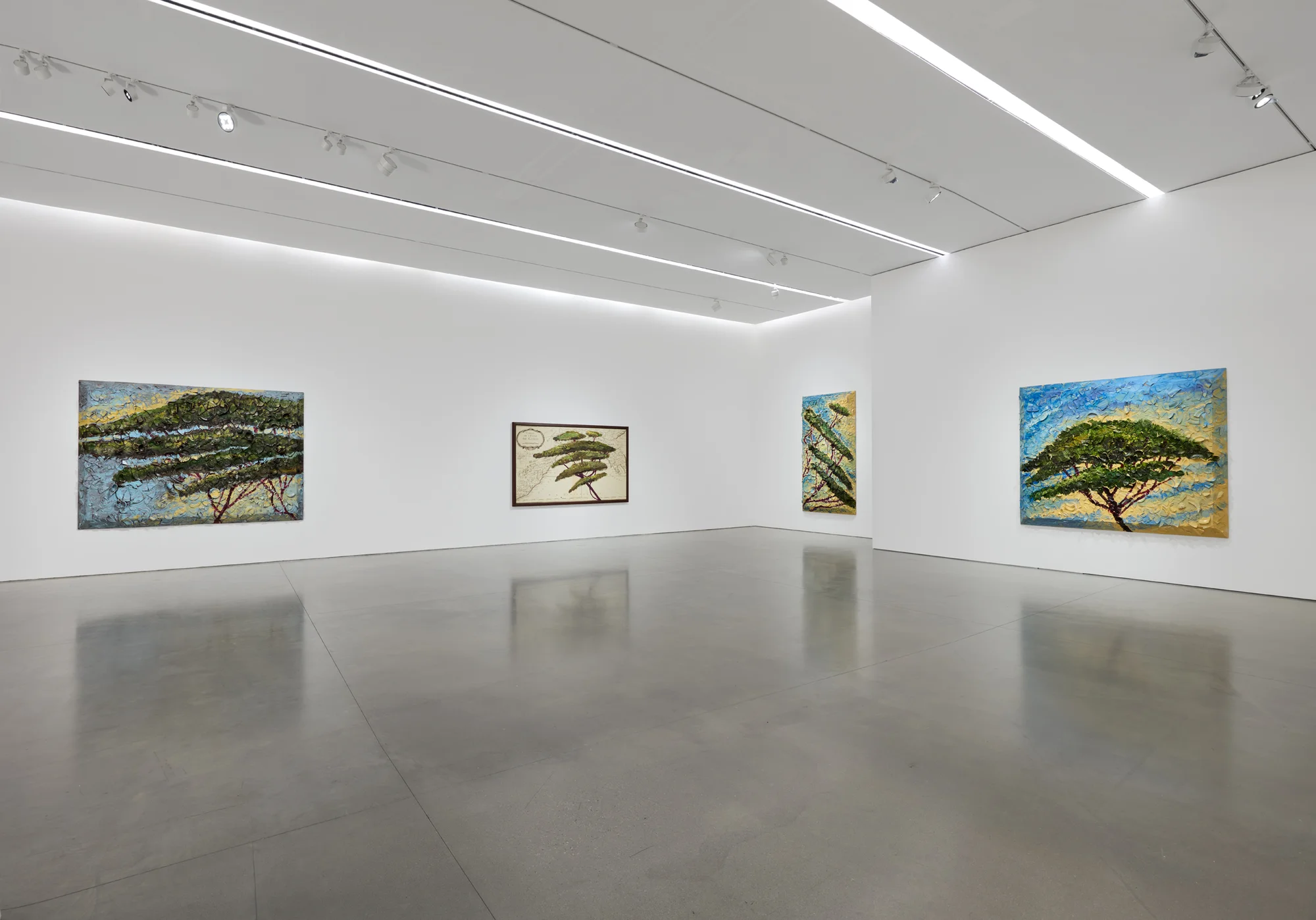 Installation view of Italy Through Its Trees by Julian Schnabel